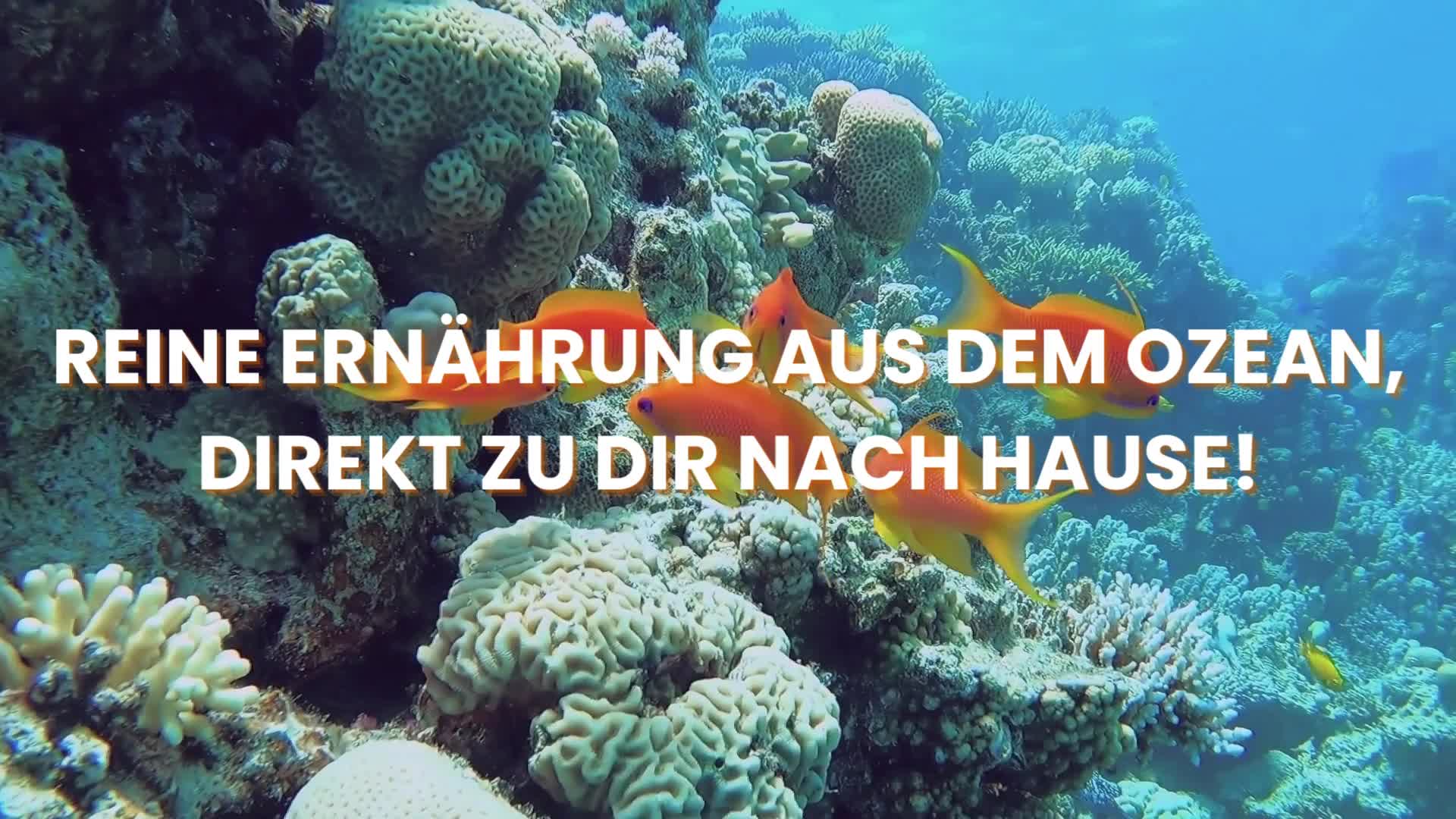 Omega 3 Fischöl 2000?mg Hochdosiert mit Vitamin E, Ohne Produktbild-Vorschau 7