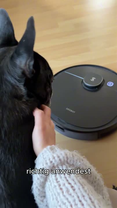 BiOHY Bodenreiniger für Wischroboter mit Frühlingsduft, Produktbild-Vorschau 7