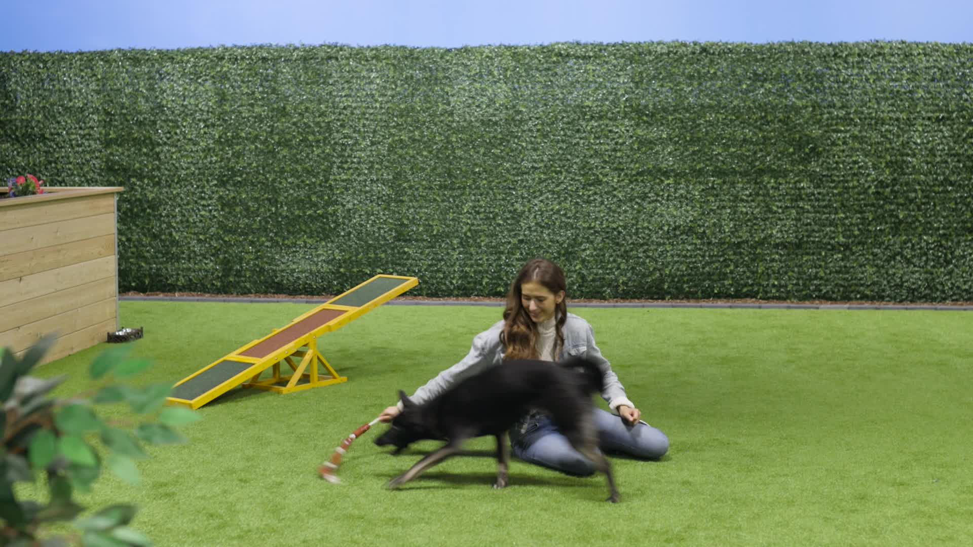 Relaxdays Hundespielzeug Wurst, kleine & mittlere Hunde, Produktbild-Vorschau 7