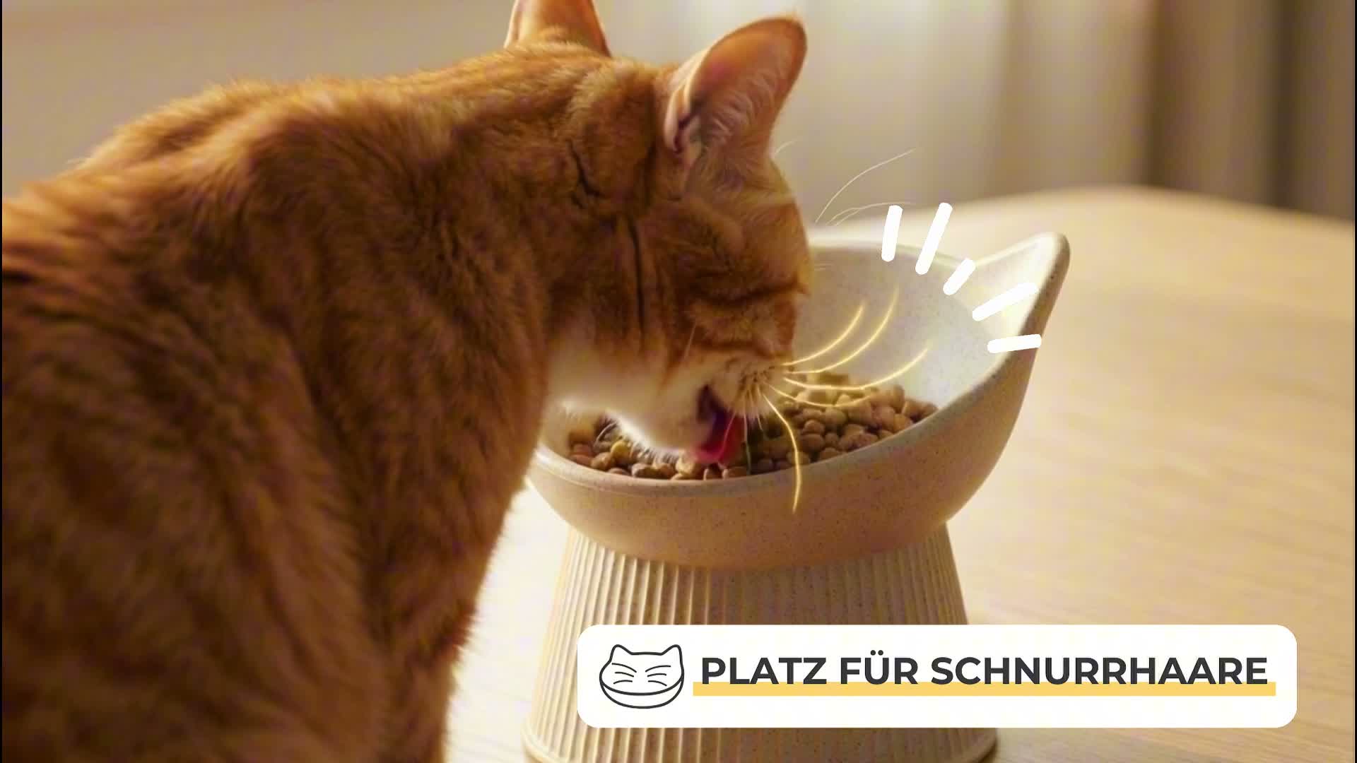 Katzennapf erhht I Ergonomischer Futternapf Katze fr