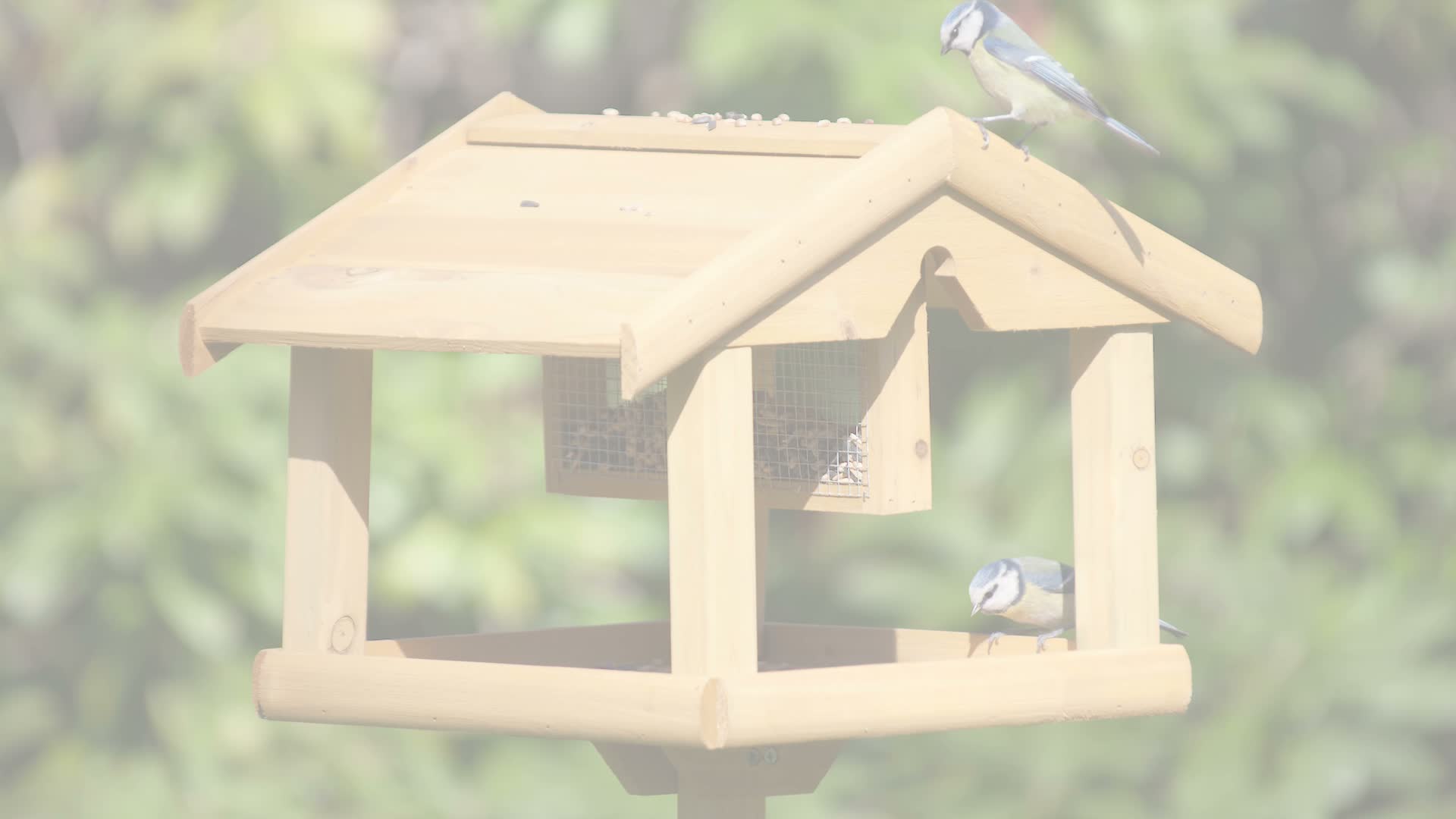 Relaxdays Vogelhaus mit Ständer, Aus Holz, Unbehandelt, Produktbild-Vorschau 7