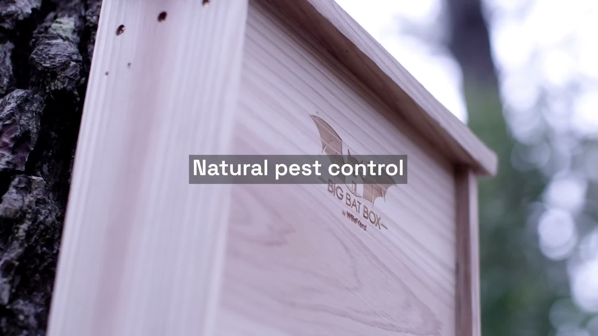 Nichoir à chauves-souris en cèdre à chambre unique – Peut Voir les images du produit 7