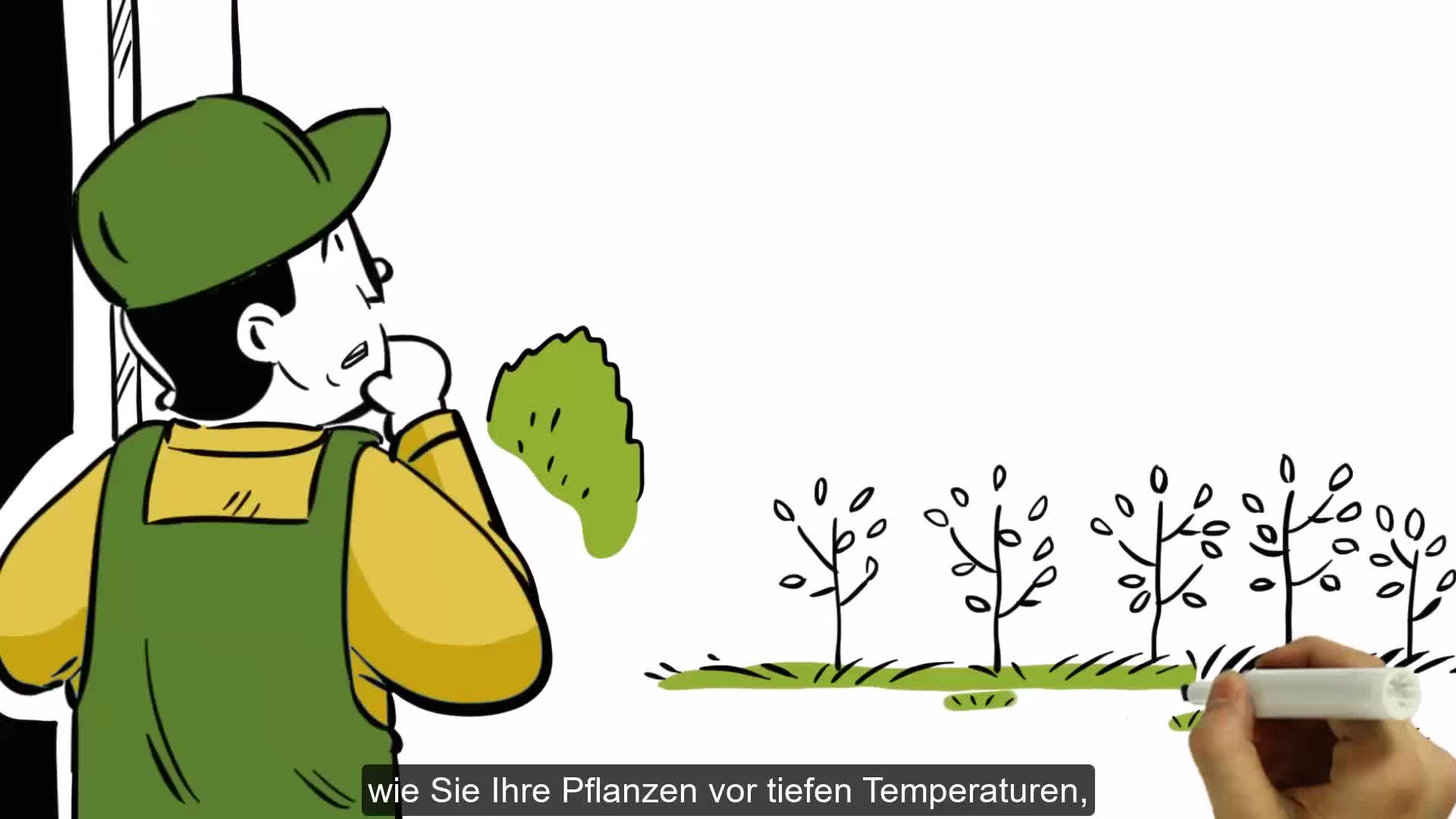 20m Kokosmatte Winterschutz Böschungsmatte Kokosfasermatte Produktbild-Vorschau 7
