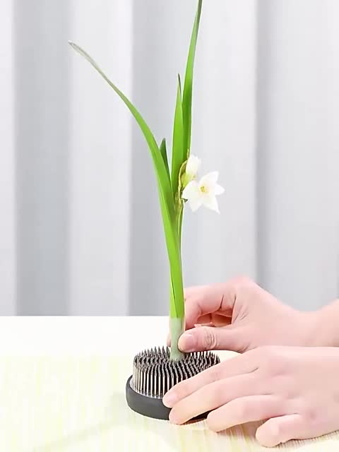4 Stück Blumenigel aus Edelstahl, Runde Kenzan Flower Produktbild-Vorschau 7