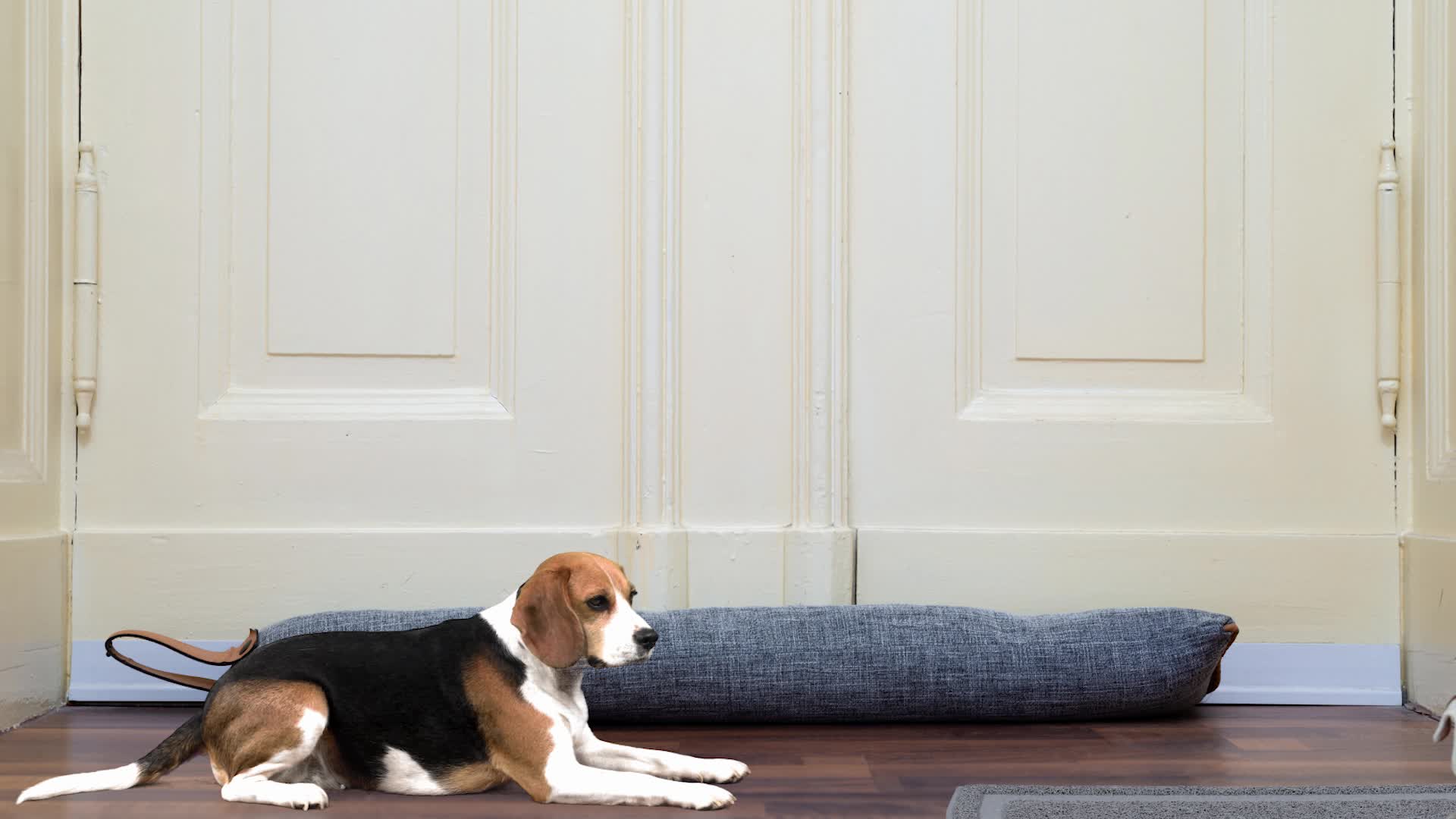Relaxdays Katzenklo Matte, hygienische Katzenstreumatte, Produktbild-Vorschau 7