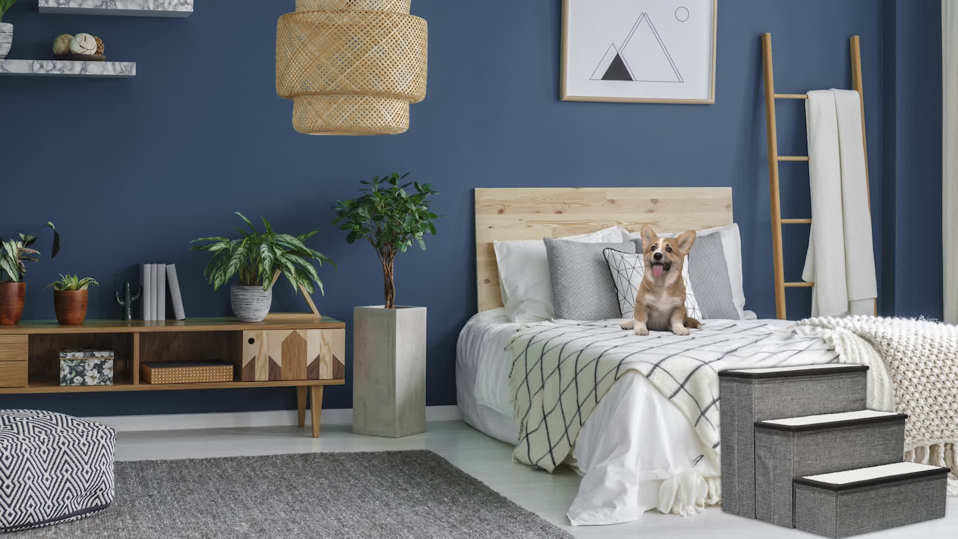 Relaxdays Hundetreppe, 3 Stufen, mit Stauraum, Hunde & Produktbild-Vorschau 7
