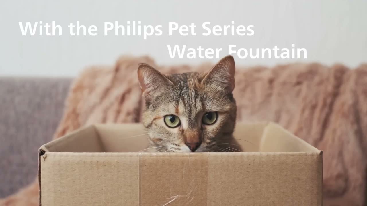 Philips Trinkbrunnen für Haustierpflege mit Filtersystem, Produktbild-Vorschau 3