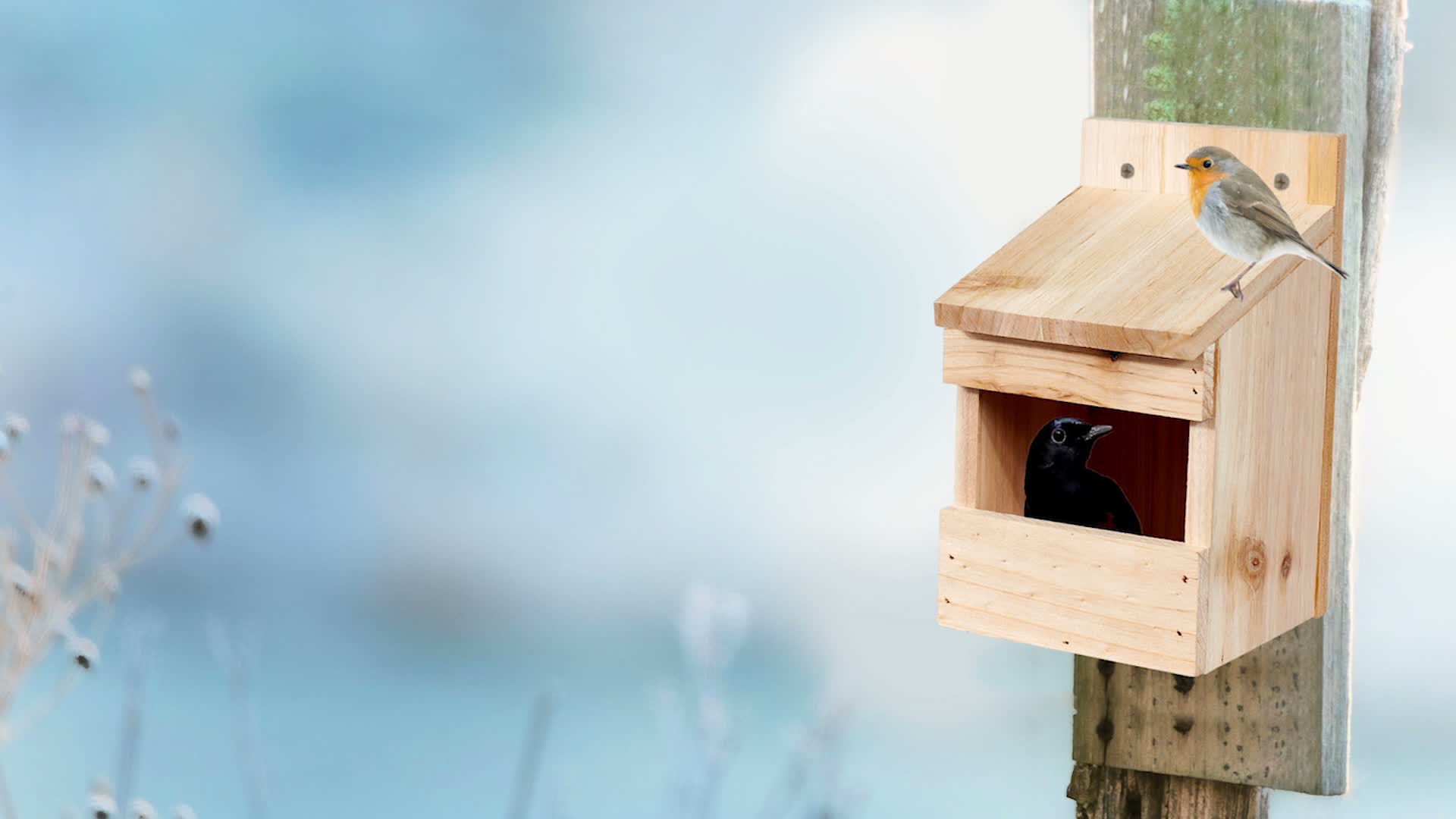 Relaxdays Halbhöhle Nistkasten, Vogelkasten zum Aufhängen, Produktbild-Vorschau 7