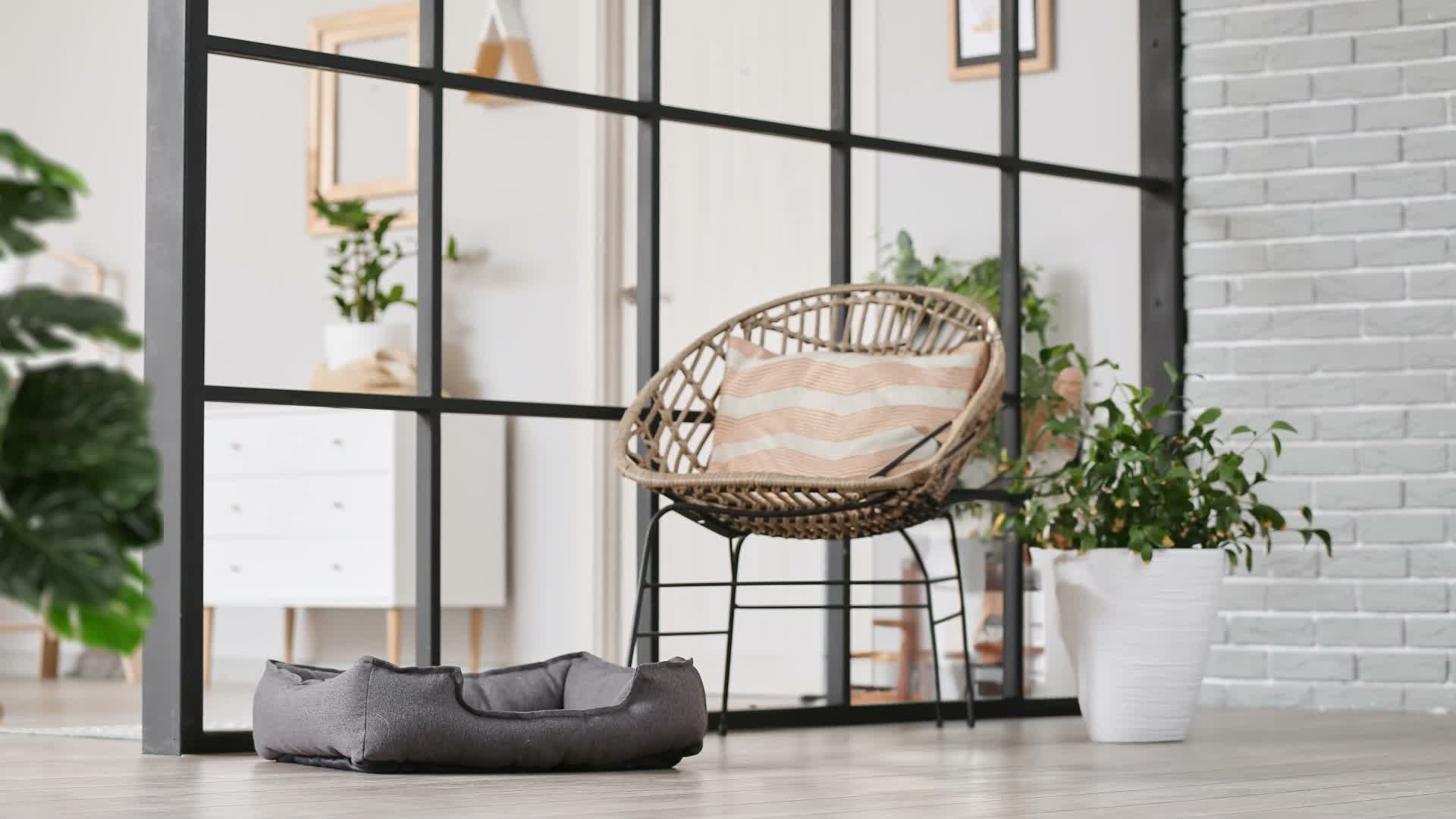Relaxdays Katzen Futterstation mit Katzengras Schale, 2 Produktbild-Vorschau 7