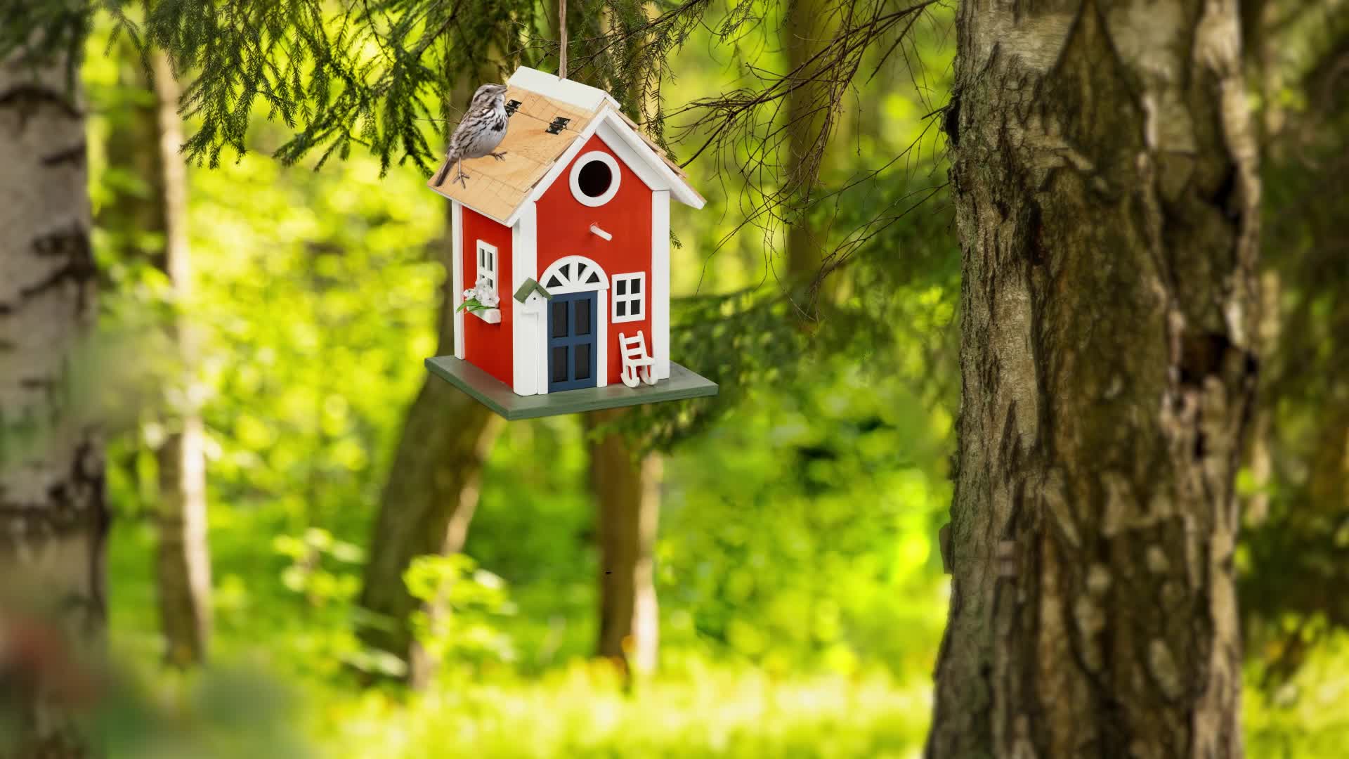 Relaxdays Deko Vogelhaus, Landhausstil, Holz, zum Produktbild-Vorschau 7