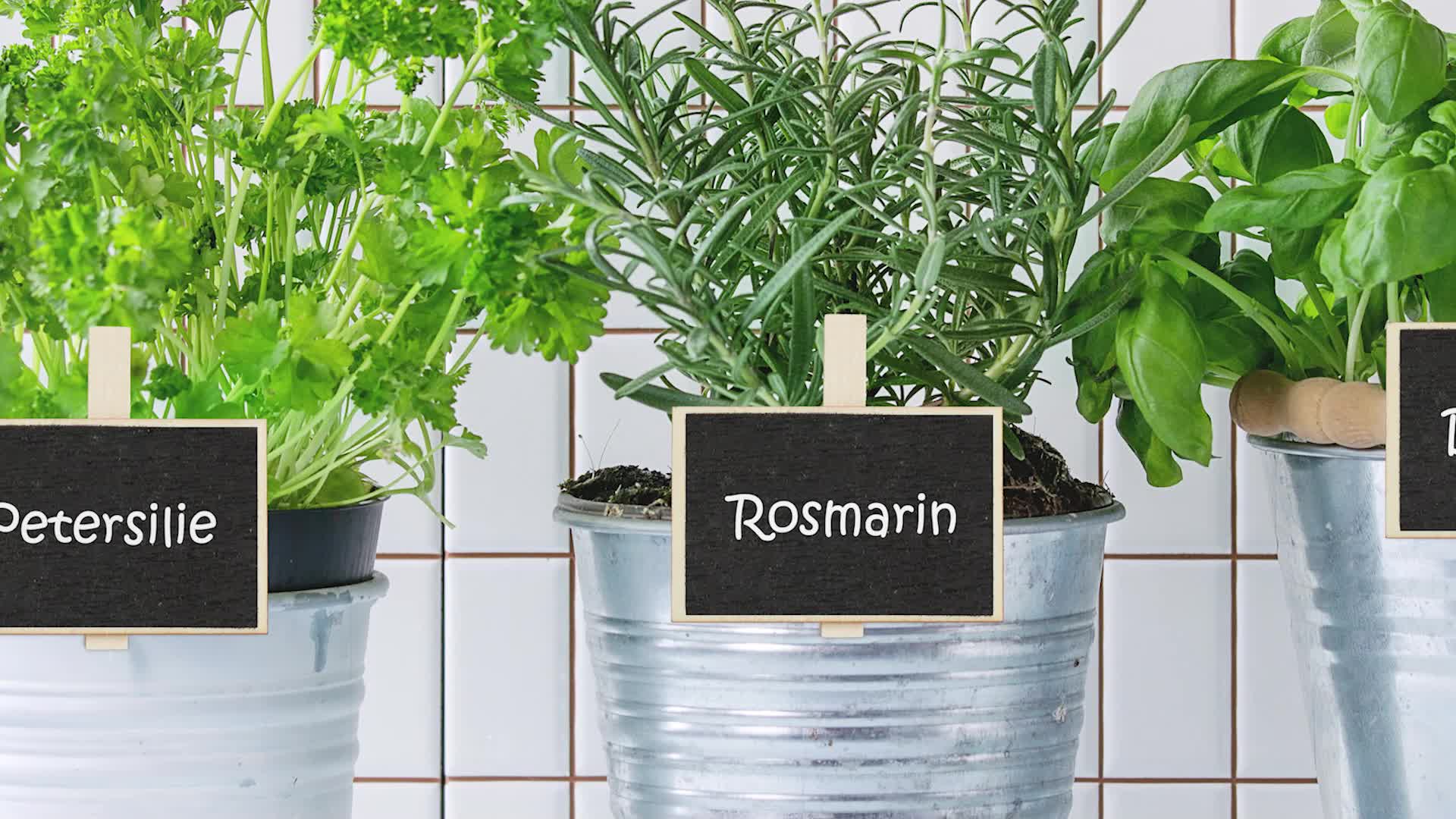 Relaxdays Tafelklammern, 20er Set, zum Beschriften, Produktbild-Vorschau 7