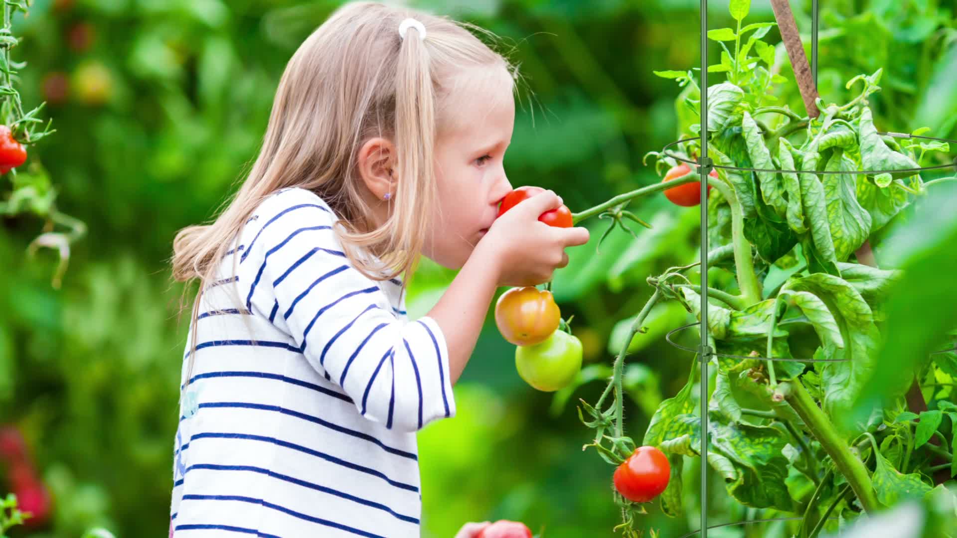 Relaxdays Rankhilfe, 2er Set, Tomatensäule für Garten & Produktbild-Vorschau 7
