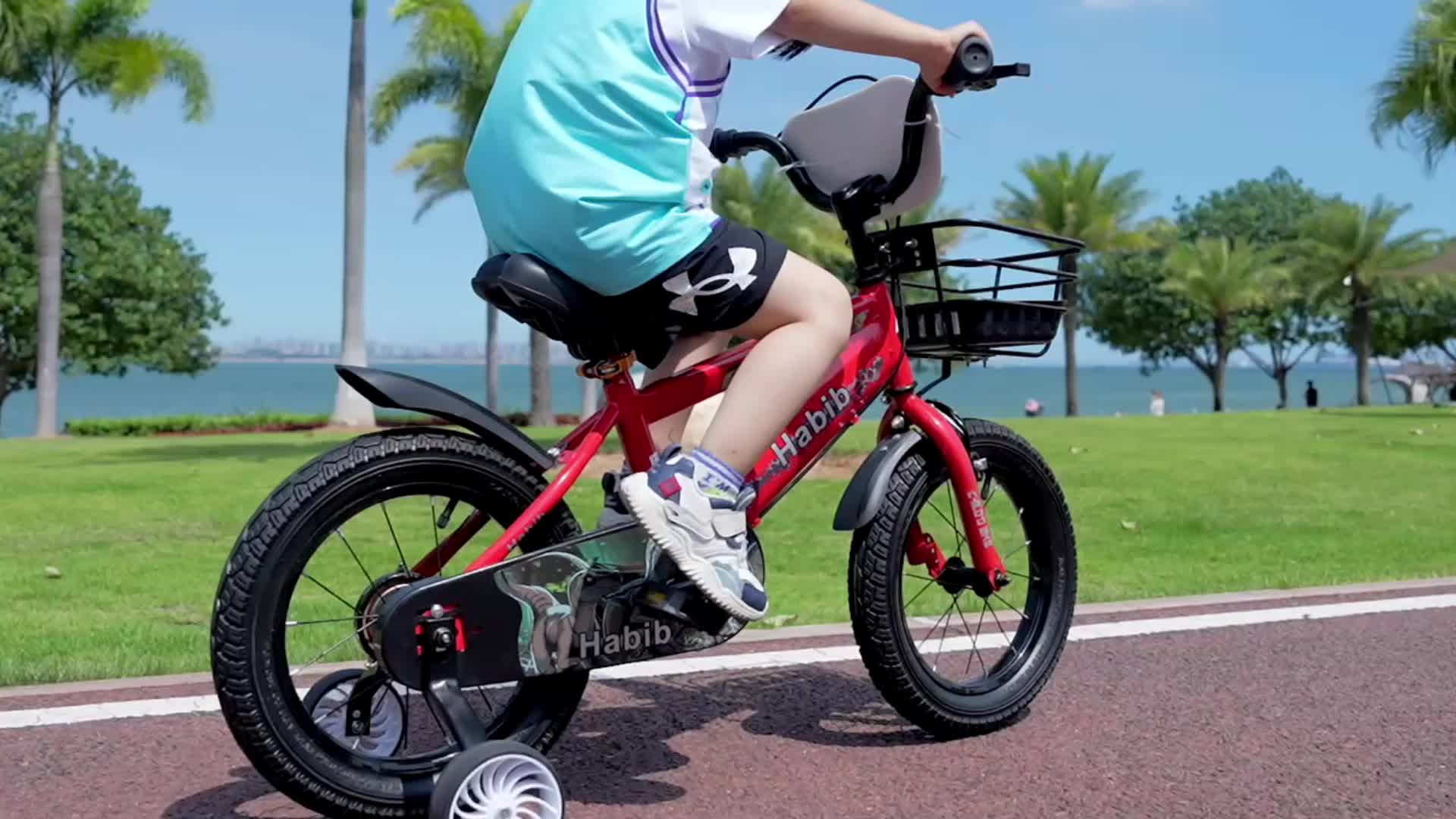 Habib Bicycle  Dino Jungenfahrrad 12" 14" 16" | Set mit Produktbild-Vorschau 7