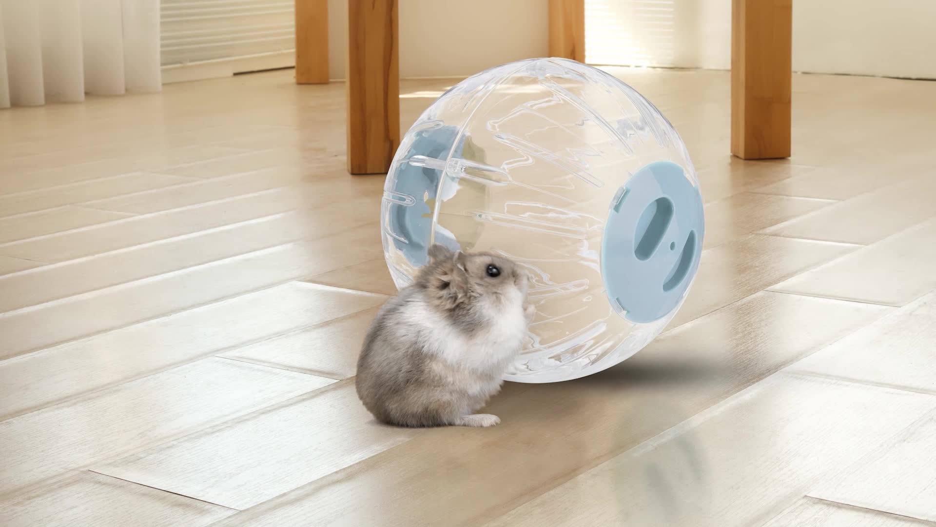 Relaxdays Hamsterball, Ø 18,5 cm, Laufkugel für Hamster & Produktbild-Vorschau 7