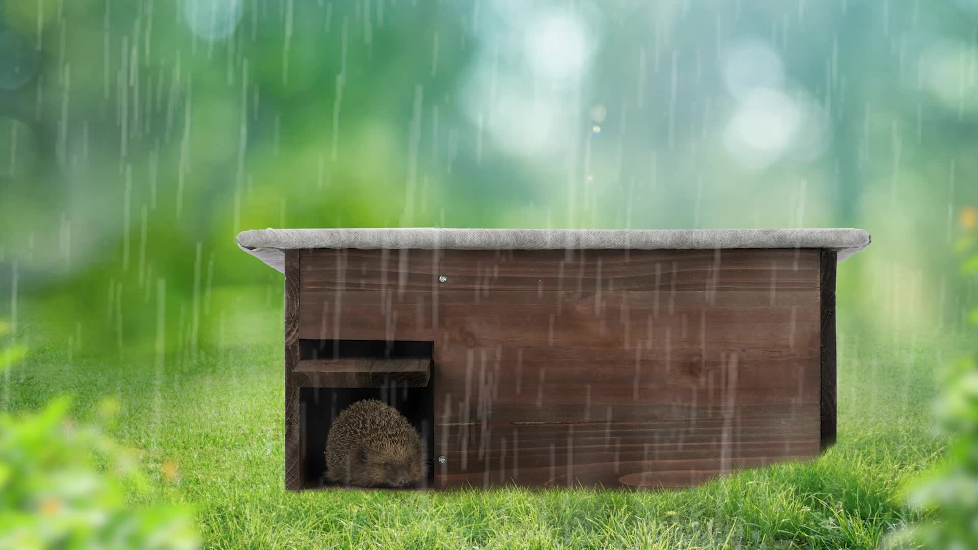 Relaxdays Igelhaus, Igelbau mit Boden, Rattenklappe & Produktbild-Vorschau 7