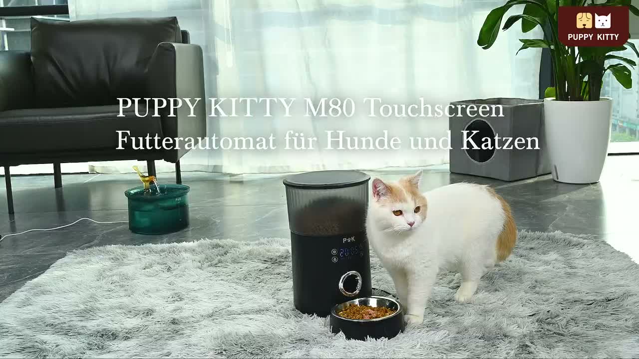 Automatischer Futterautomat Katzen & Hunde 4L Produktbild-Vorschau 7