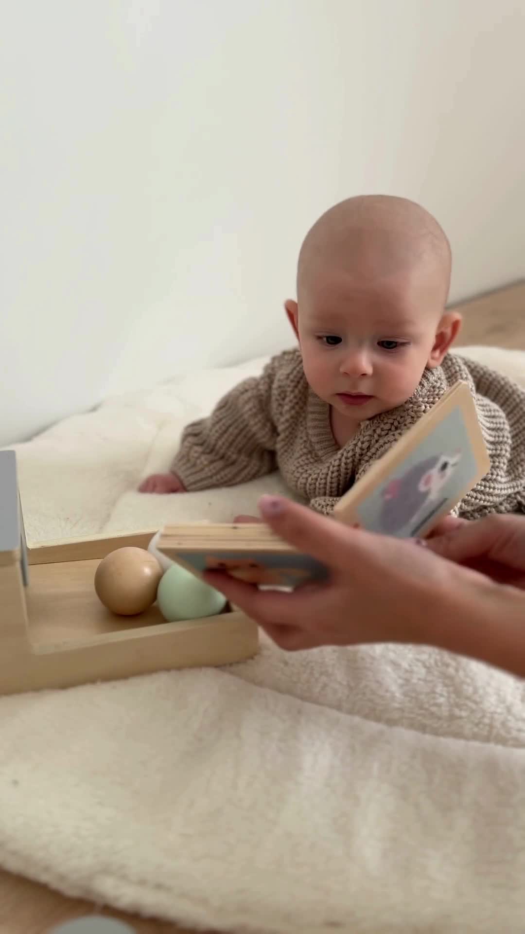 Montessori-Erziehungsbox für Babys - 6 Spielzeuge Produktbild-Vorschau 7