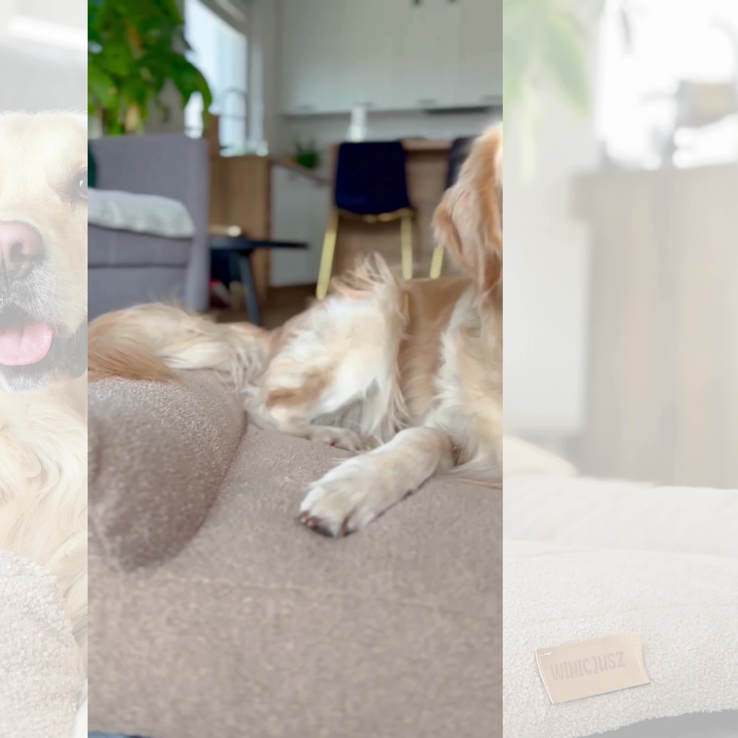 Großes Hundebett Hundesofa Hundekissen Hundekörbchen  Produktbild-Vorschau 7
