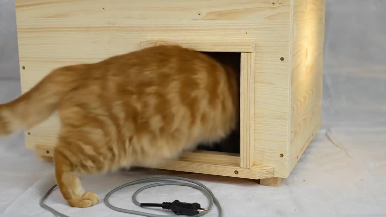 Katzenhaus mit Heizung, unbemalt, wetterfest beheizt Produktbild-Vorschau 5