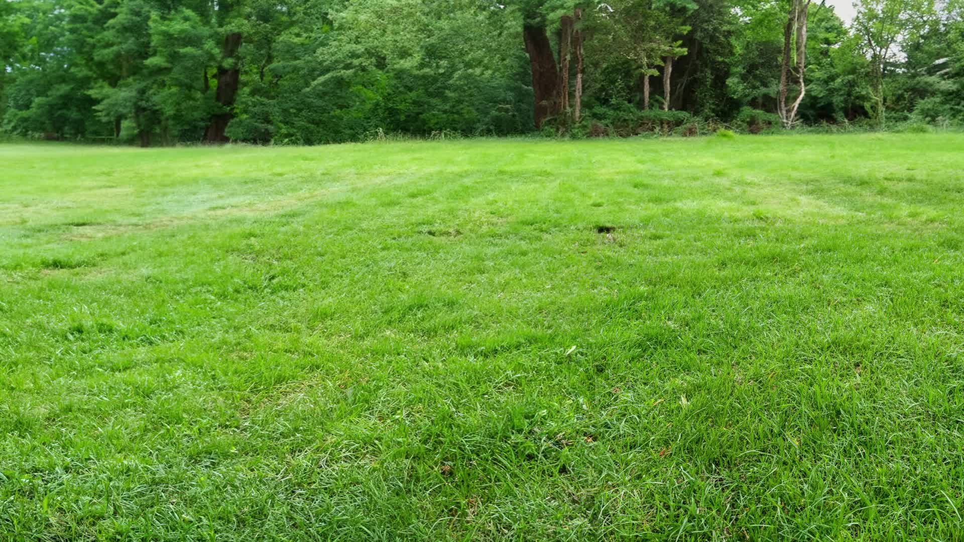Relaxdays Leiter Trampolin, zum Einhängen, 2 Sprossen, Produktbild-Vorschau 7