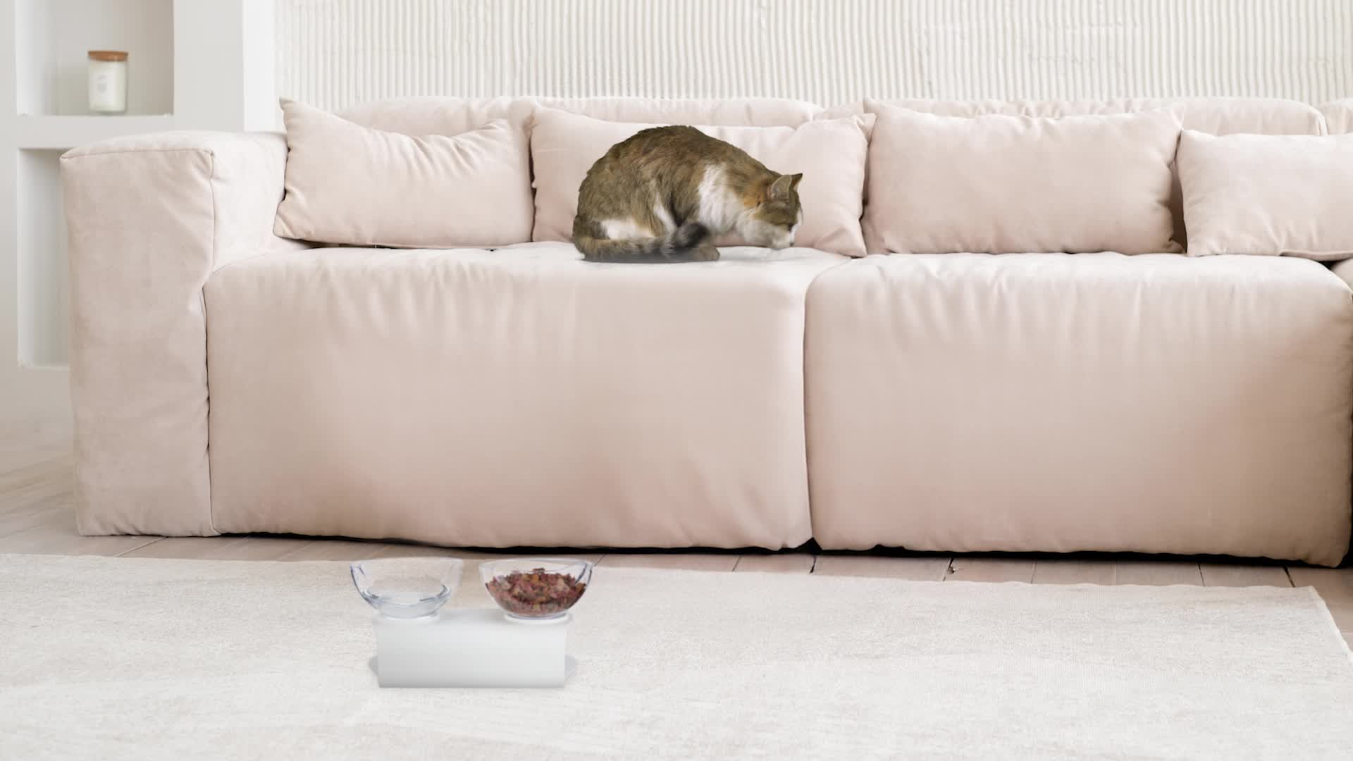 Relaxdays Katzen Doppelnapf, 2 Fressnäpfe, 500ml, HBT Produktbild-Vorschau 7