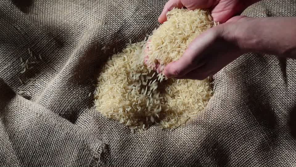 Watani Premium Basmati Reis 10 kg – Extra Langkorn 1121 aus Produktbild-Vorschau 7