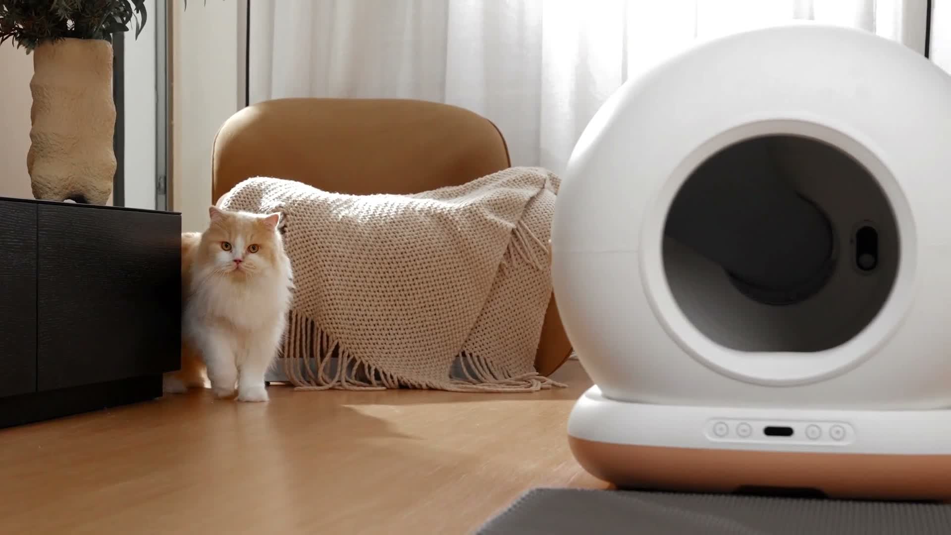 Astropet selbstreinigende Katzen toilette Neptune Series Produktbild-Vorschau 7