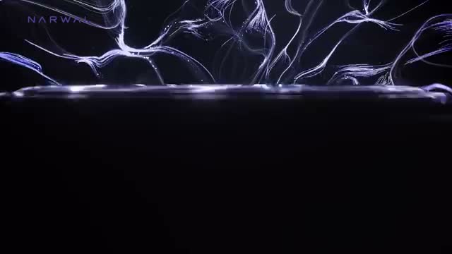 NARWAL Freo Z10 Ultra, Prachový sáček, Šedá, Kulatý, LED, Náhled obrázku produktu 7