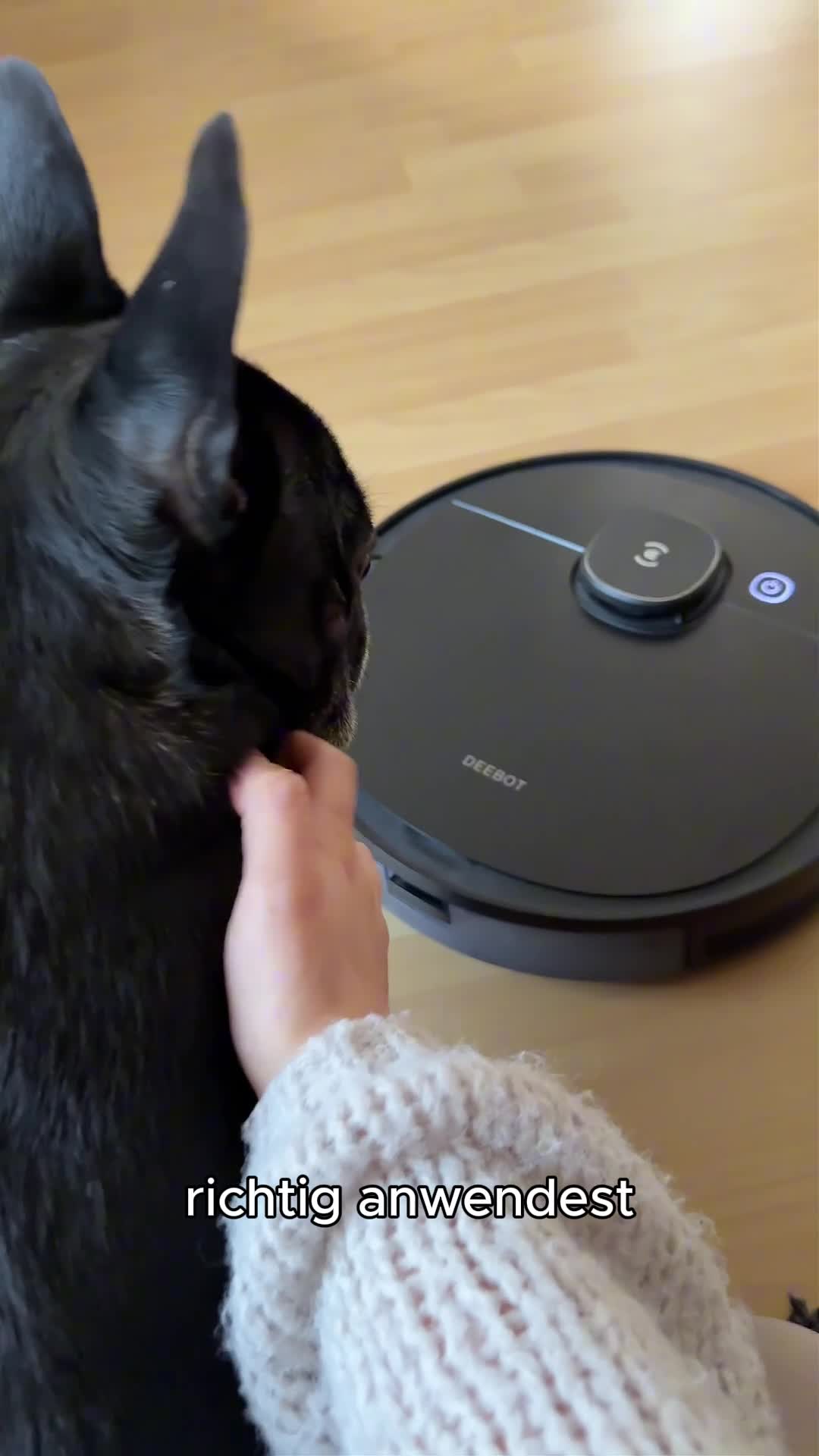 BiOHY Bodenreiniger für Wischroboter 100% vegan, Inhalt:1 Produktbild-Vorschau 7