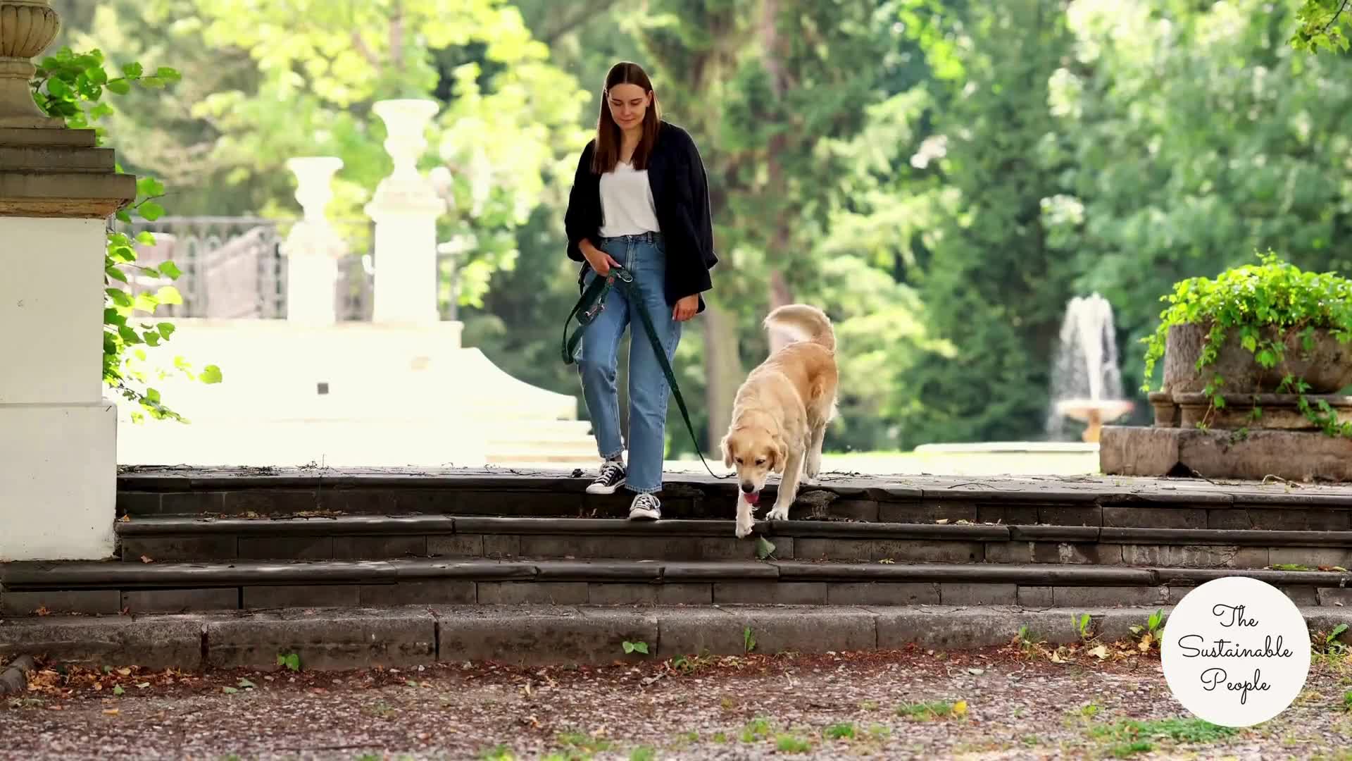 The Sustainable People Recycling Hundekotbeutel, 360 Stück, Produktbild-Vorschau 7