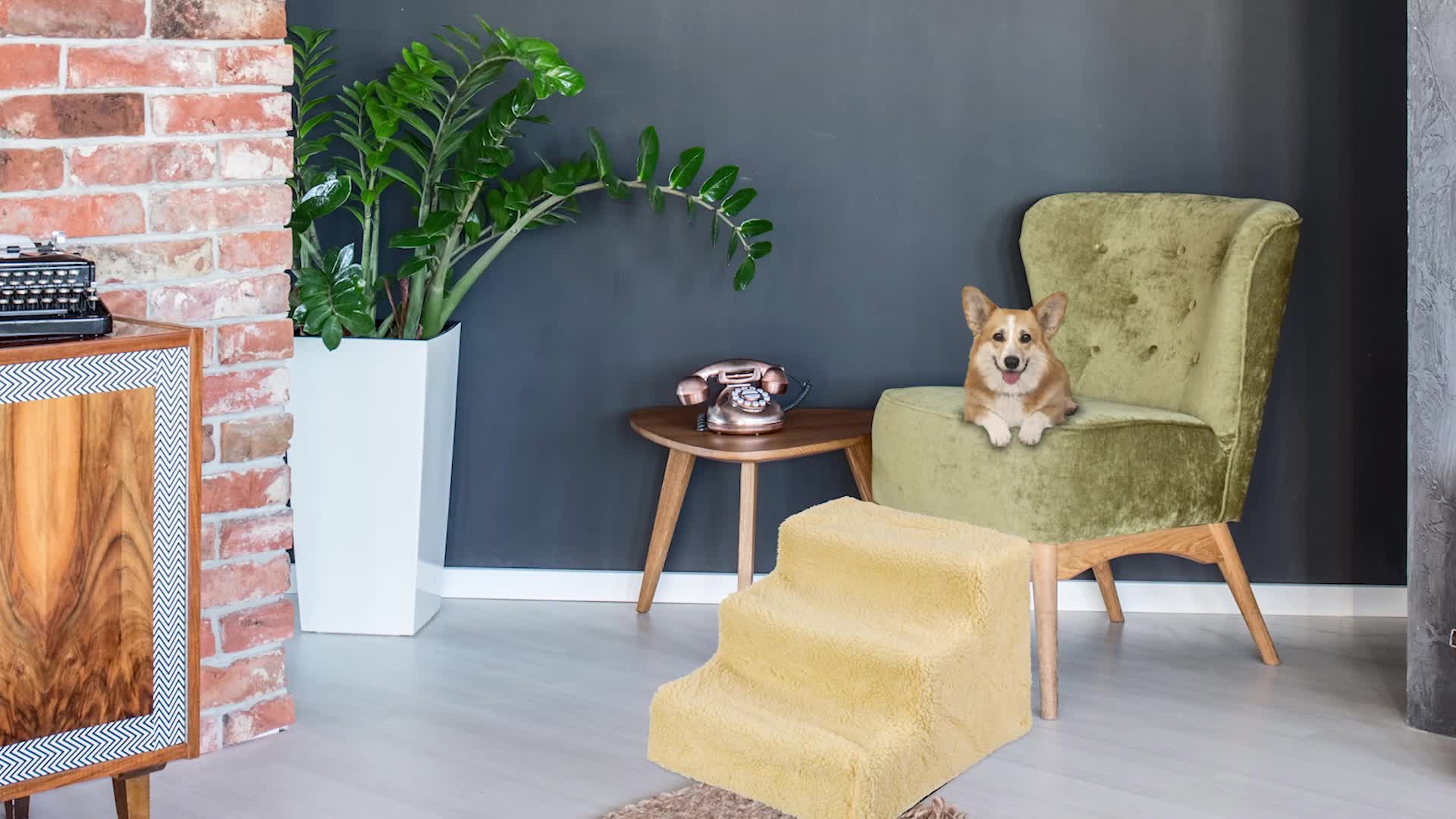 Relaxdays Hundetreppe 3 Stufen, kleine & große Hunde, Bett Produktbild-Vorschau 7