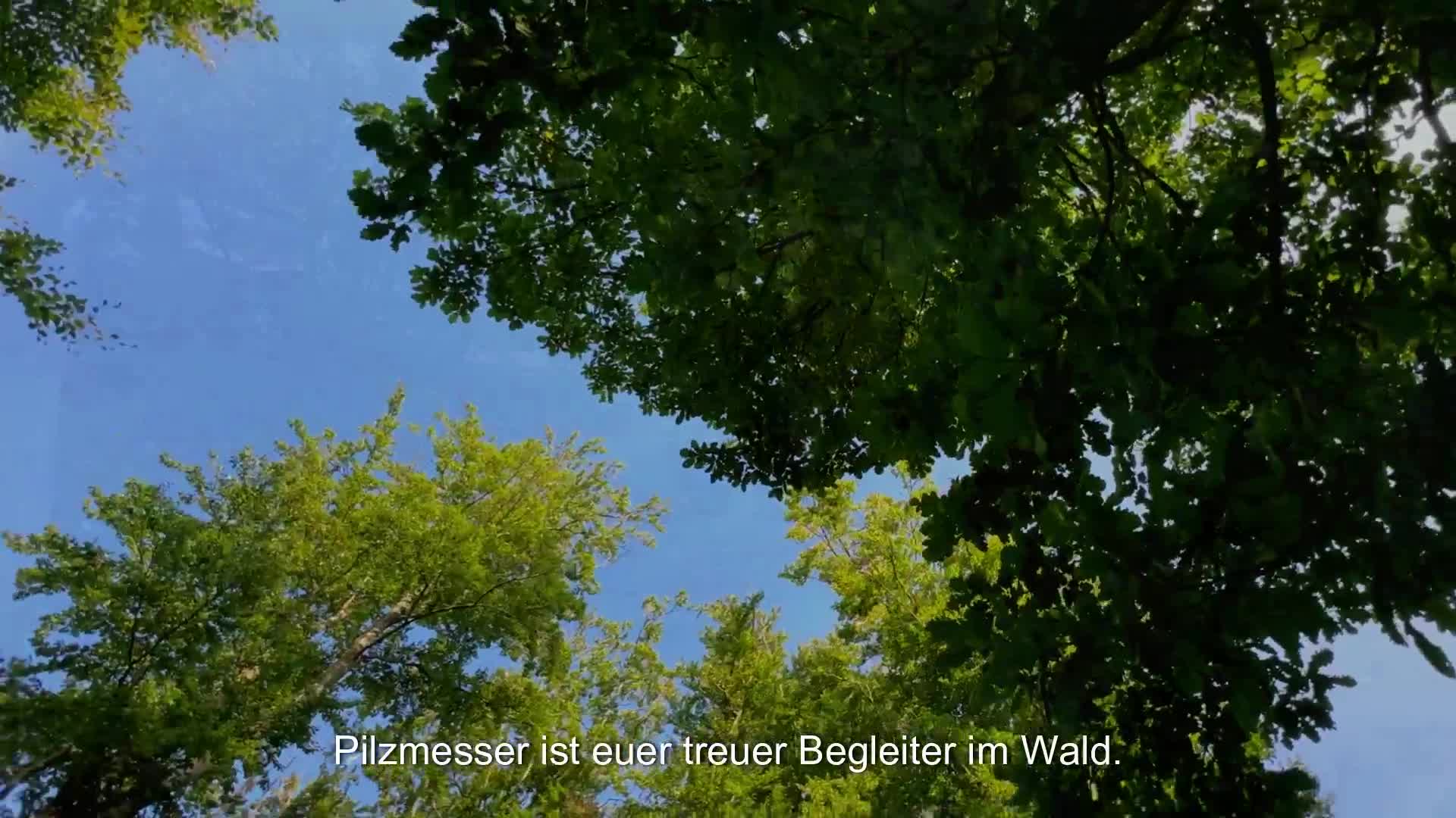 Eli®Pilzmesser mit Bürste und Tasche aus Baumwolle für Produktbild-Vorschau 7