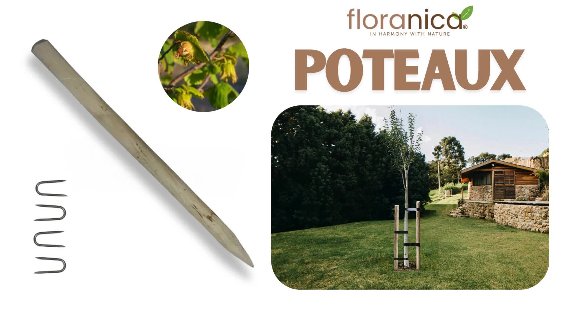 Floranica 6 x poteau clôture noisetier 150 cm, bois solide, Voir les images du produit 2