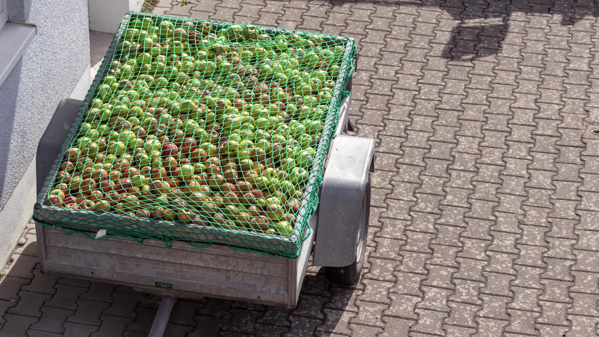 Relaxdays Anhängernetz, dehnbar bis 2x3m, Produktbild-Vorschau 7