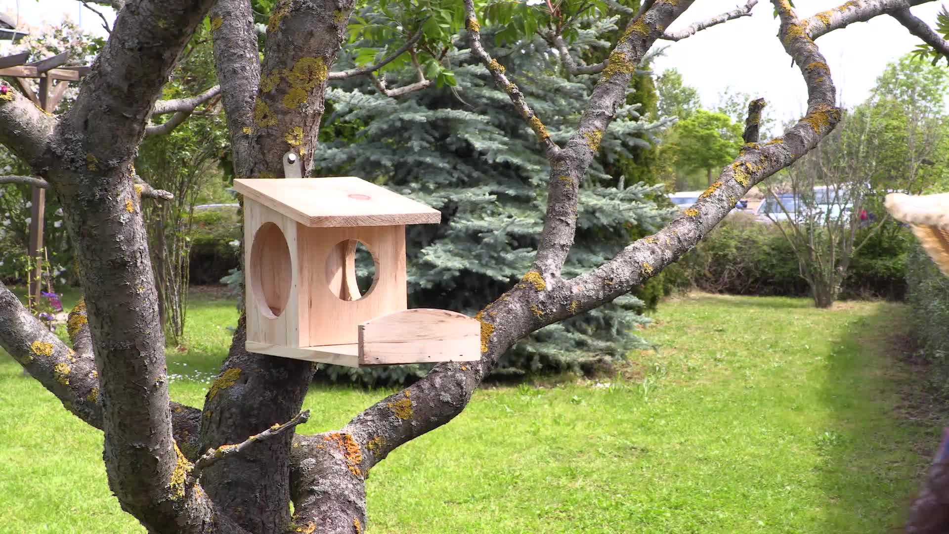 Relaxdays Eichhörnchen Futterhaus, Futterkasten für Produktbild-Vorschau 7