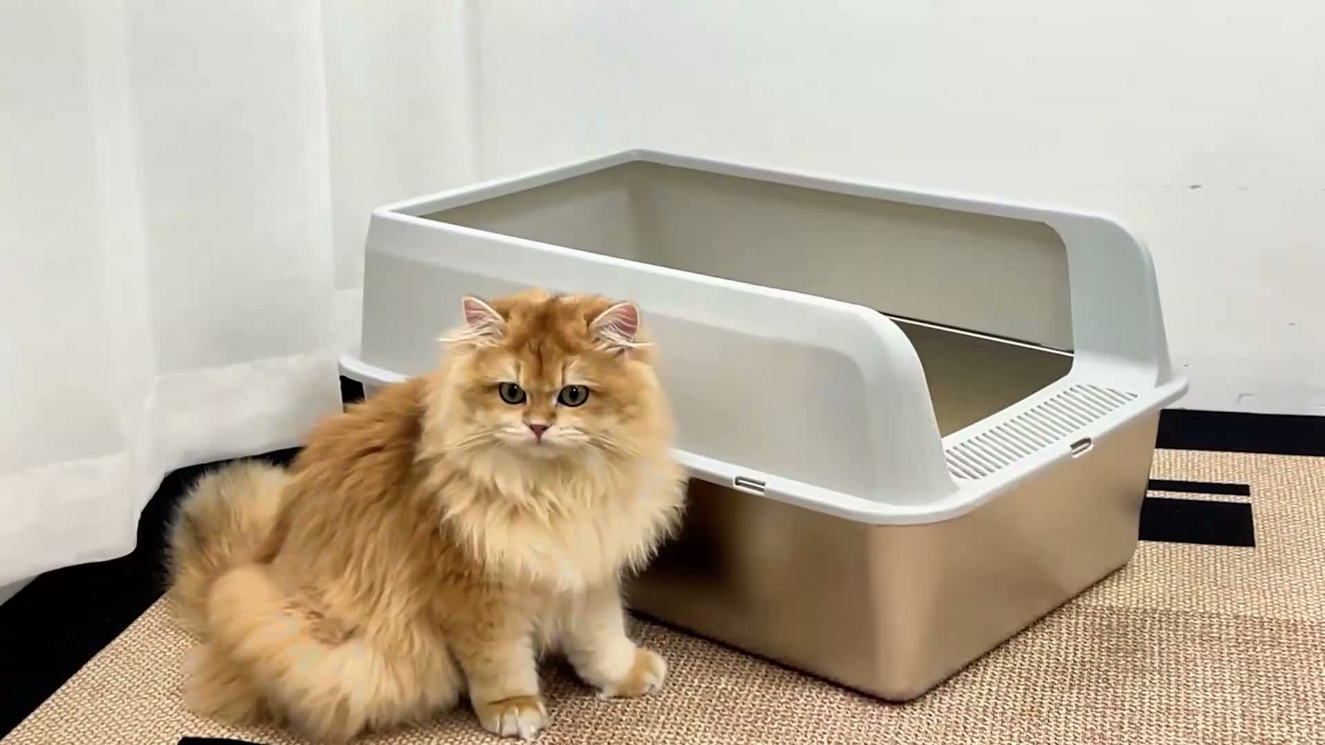FATIVO XXL Edelstahl Katzenklo Offen: Katzentoilette Produktbild-Vorschau 7