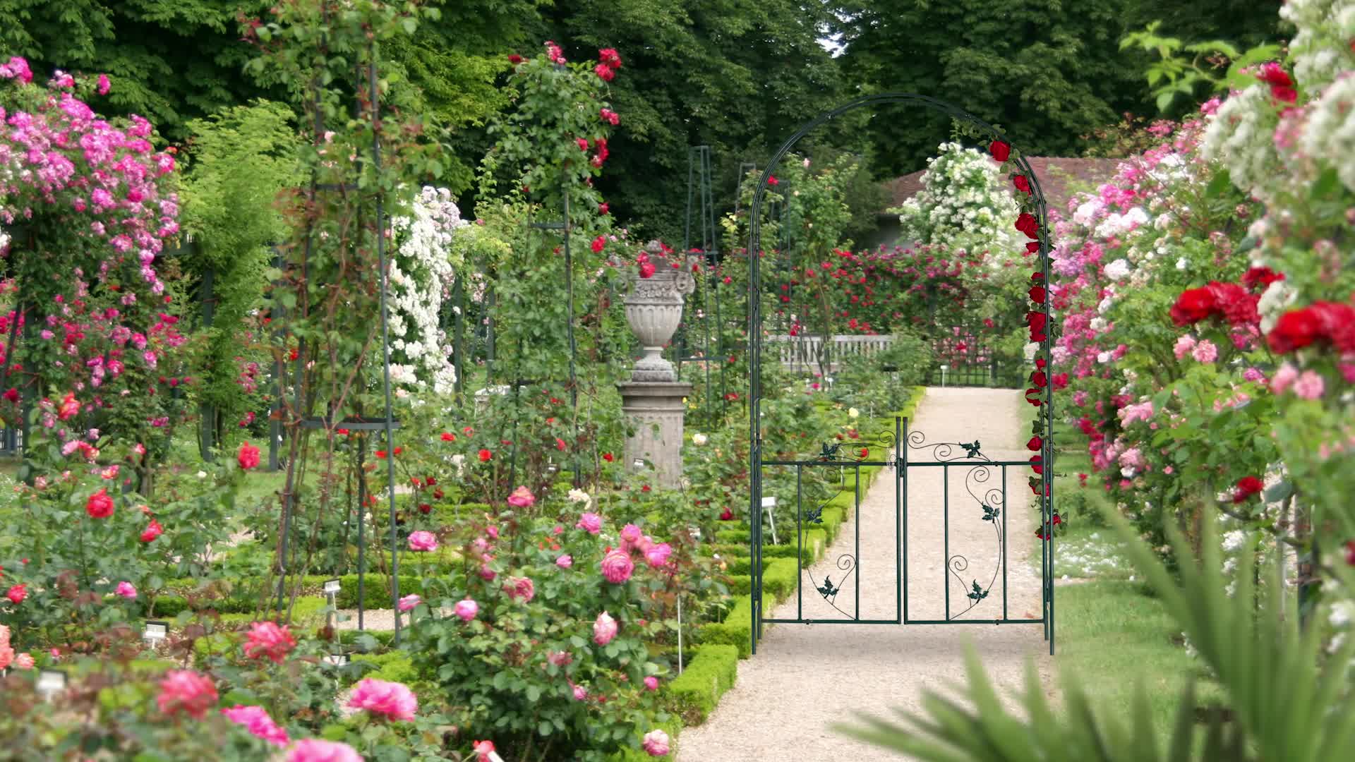 Relaxdays Rosenbogen mit Tür, Garten Rankhilfe Produktbild-Vorschau 7