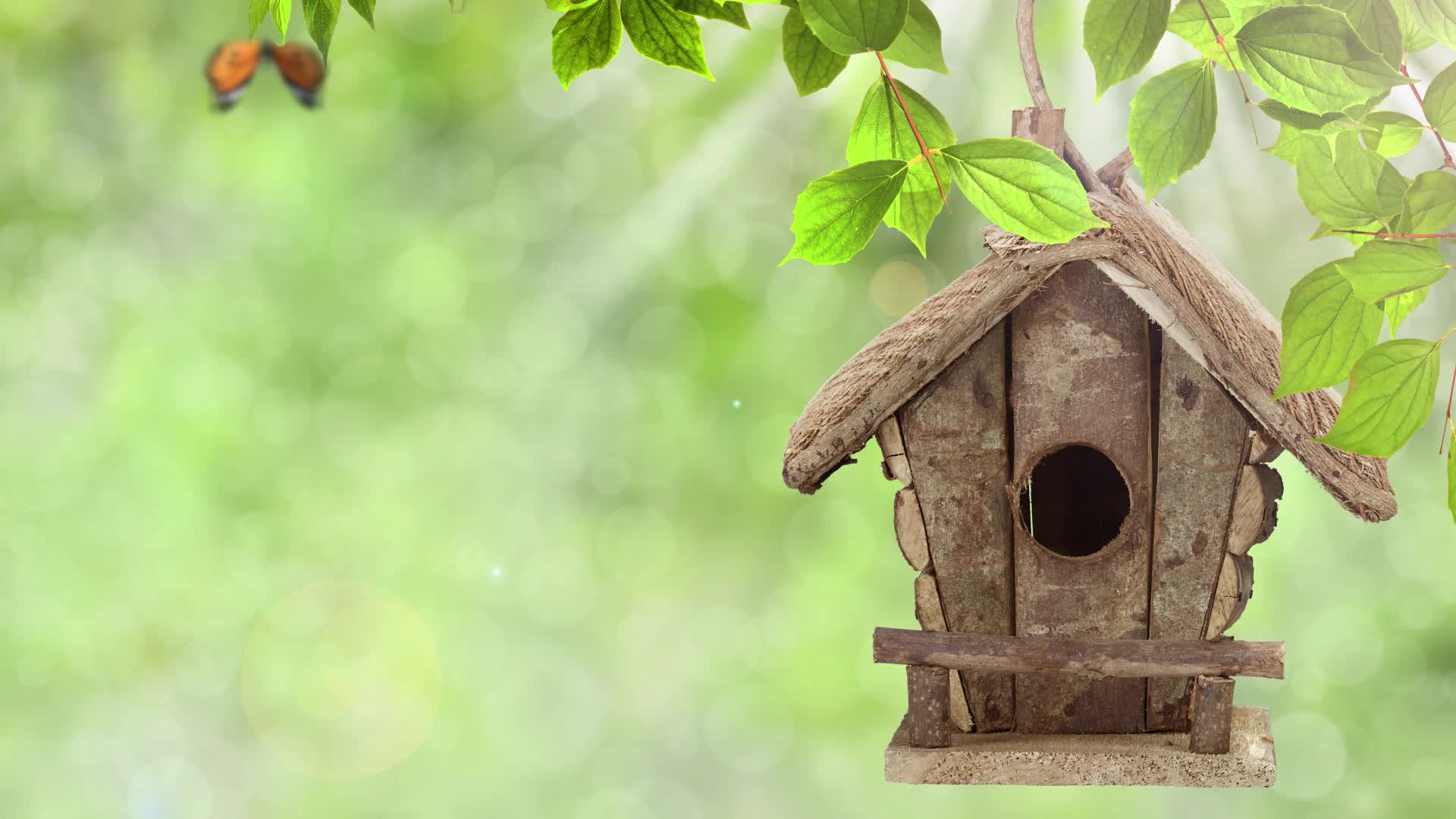 Relaxdays Deko Vogelhaus zum Aufhängen, unbehandeltes Holz, Produktbild-Vorschau 7