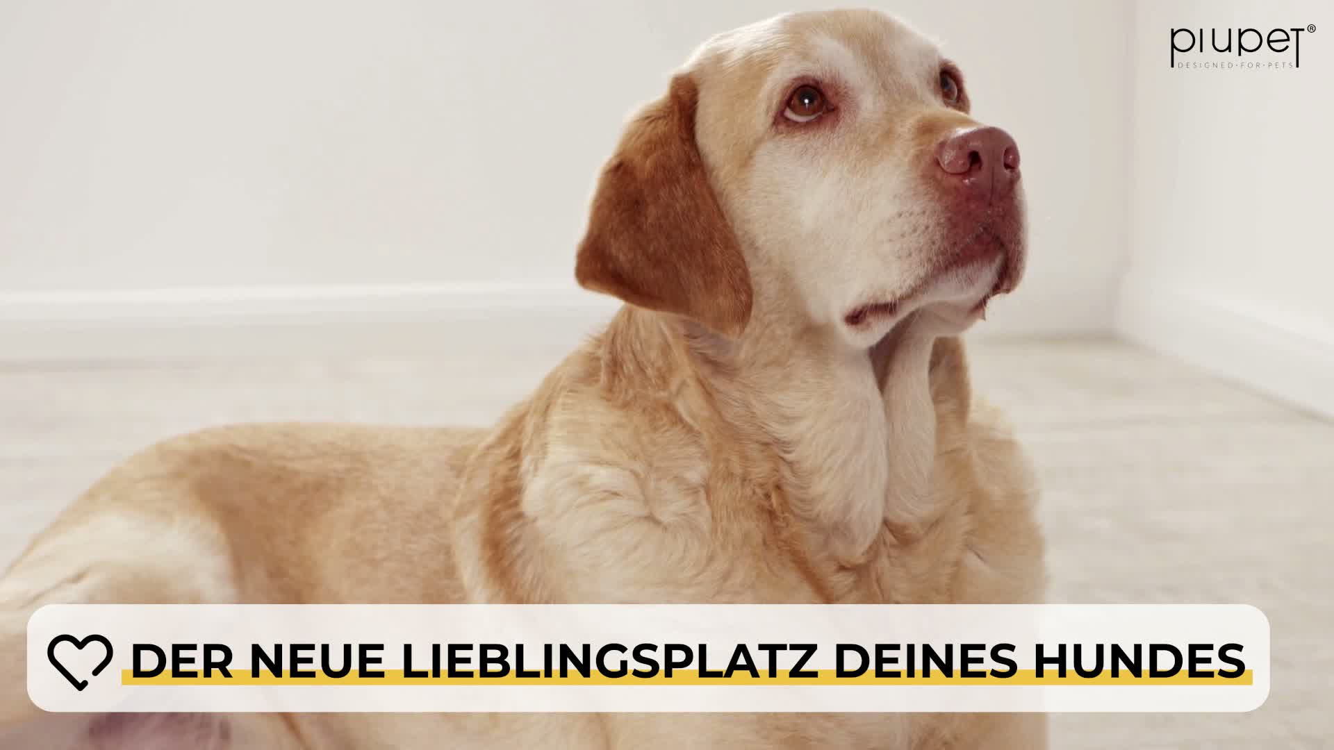 PiuPet® Selbstheizende Hundedecke I 90x60cm I Heizdecke Produktbild-Vorschau 7