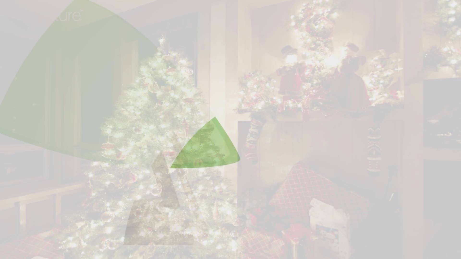 be4nature set albero di Natale in legno 2 pezzi, 38 e 55 cm Anteprima dell’immagine prodotto 6