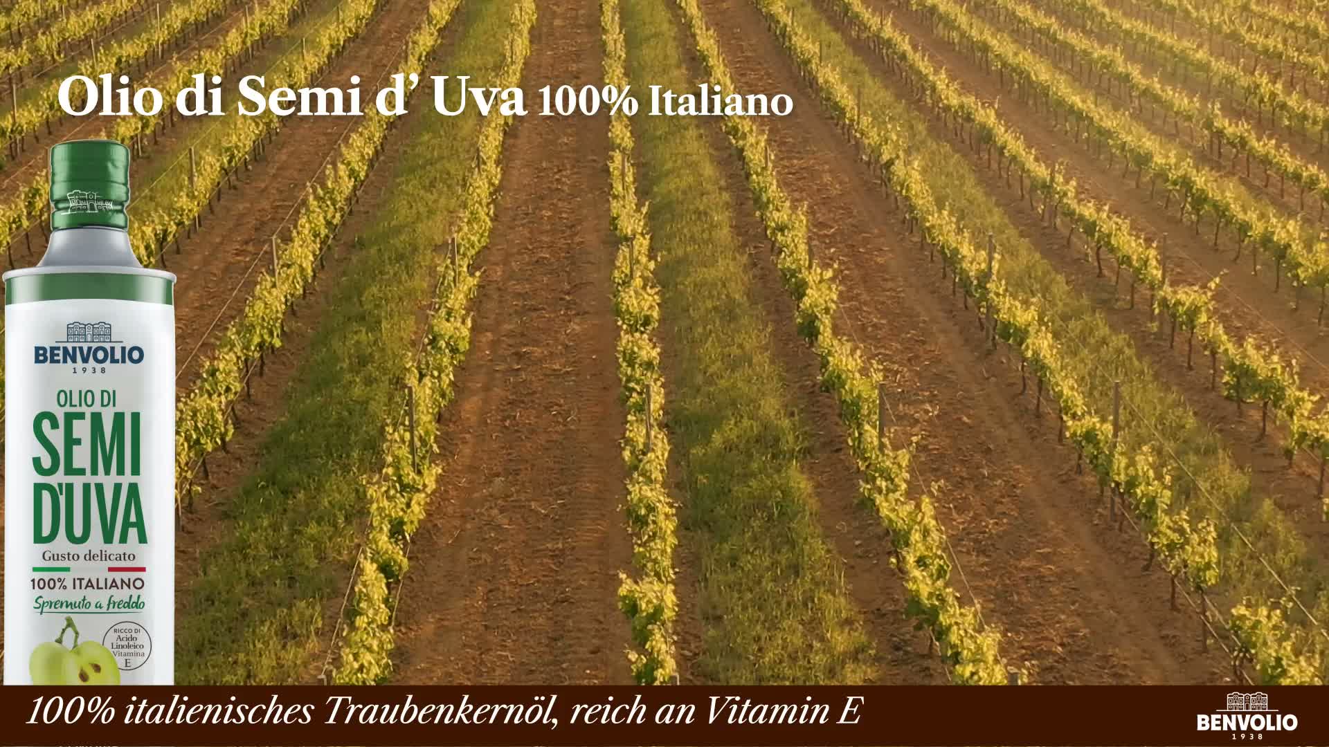 Benvolio 1938 Traubenkernöl 100% italienisch 750ml – Produktbild-Vorschau 7