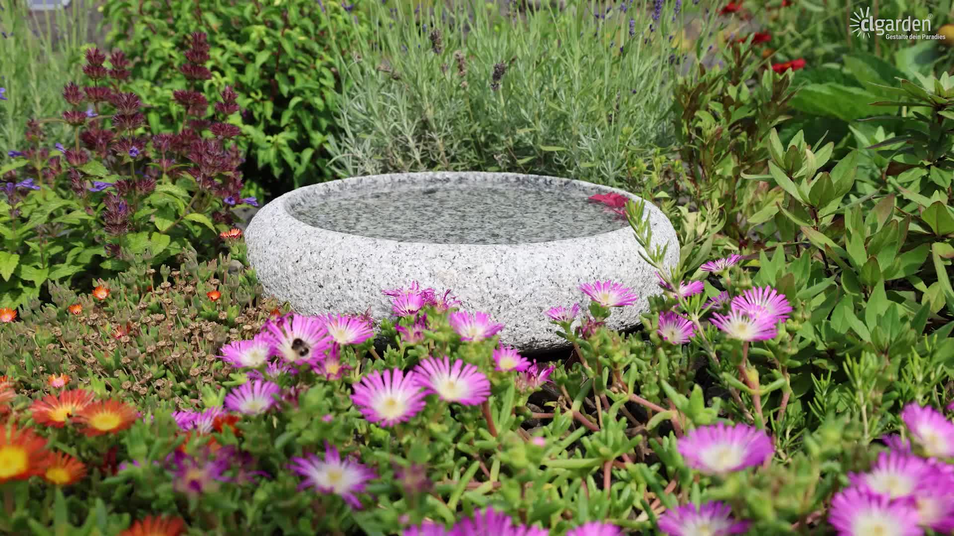 CLGarden Granit Vogelbad Ø 35cm rund Vogeltränke Naturstein Produktbild-Vorschau 7