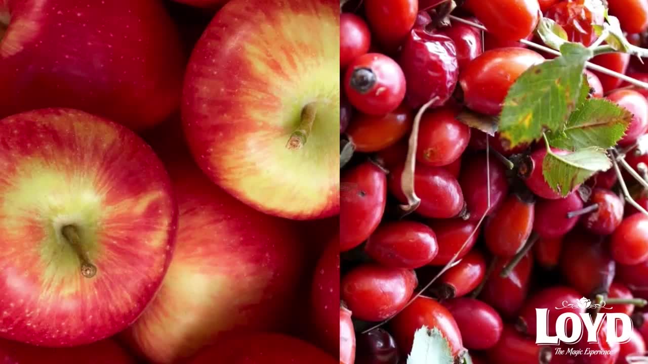 Herbatka owocowa Loyd Malina i Cytryna 20 torebek Podgląd zdjęcia produktu 7