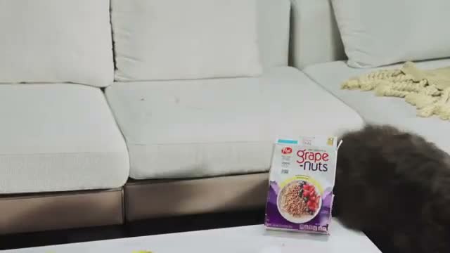 JIMMY H10 Flex, Tyčový vysavač Náhled obrázku produktu 7