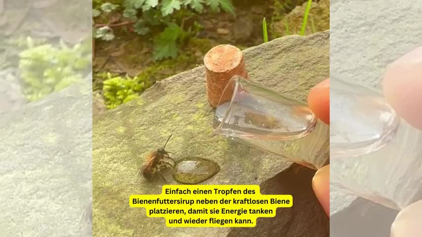Bienenhelfer Set Erste-Hilfe-Schlüsselanhänger für Bienen, Produktbild-Vorschau 6