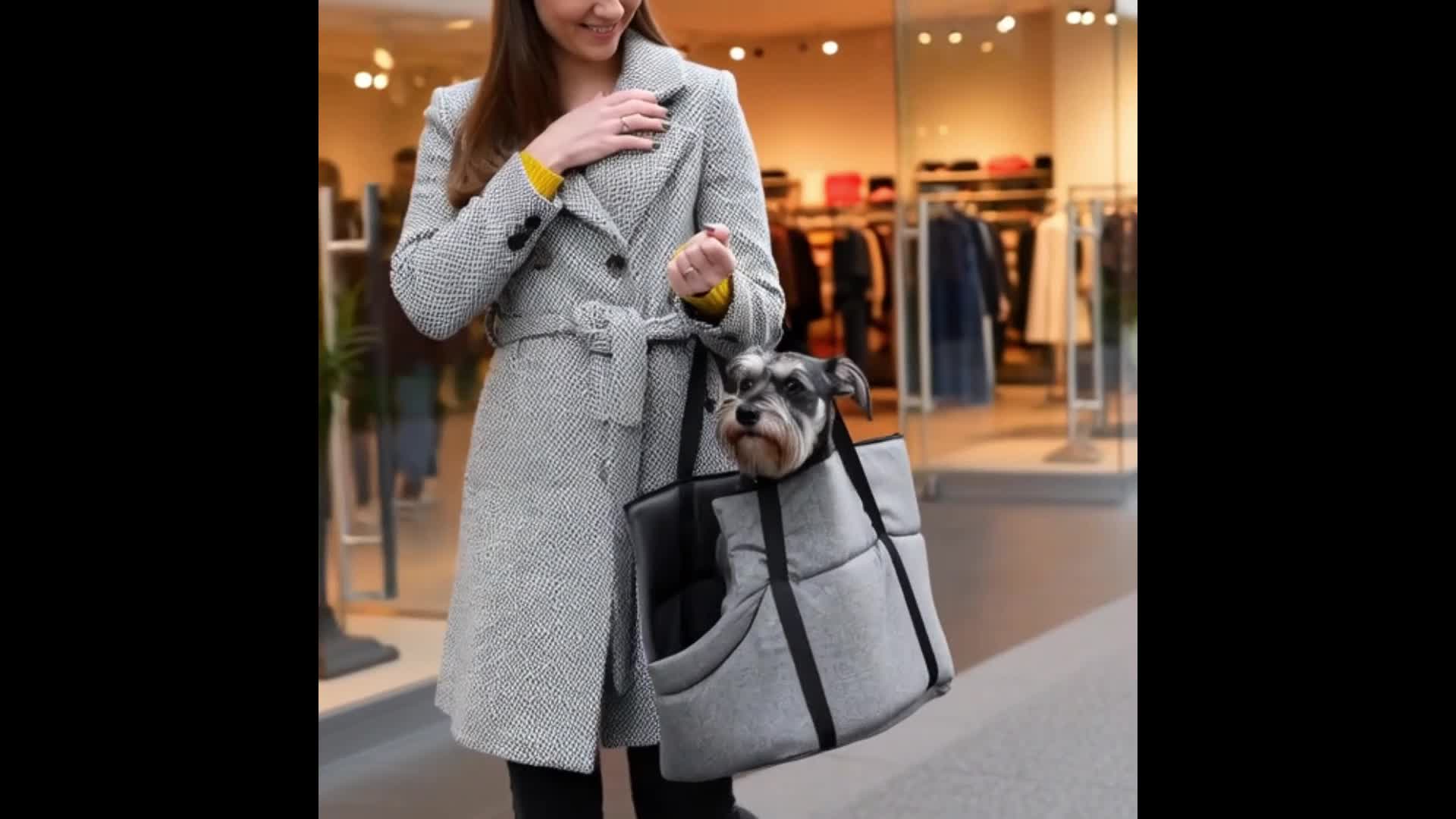 Hundetasche Tragetasche Transporttasche für Hunde & Katzen Produktbild-Vorschau 7