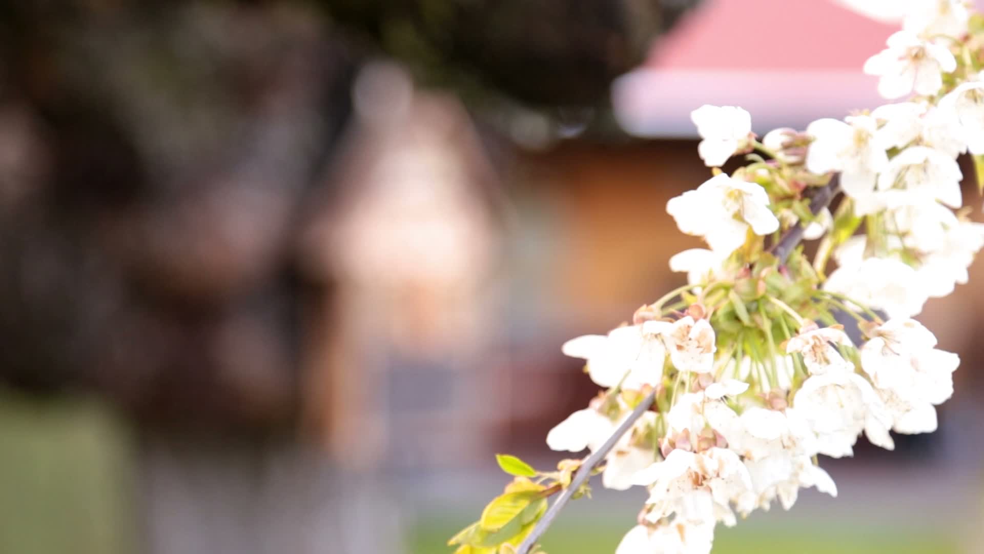 Relaxdays Insektenhotel 50 cm groß, Zum Aufhängen, Produktbild-Vorschau 7