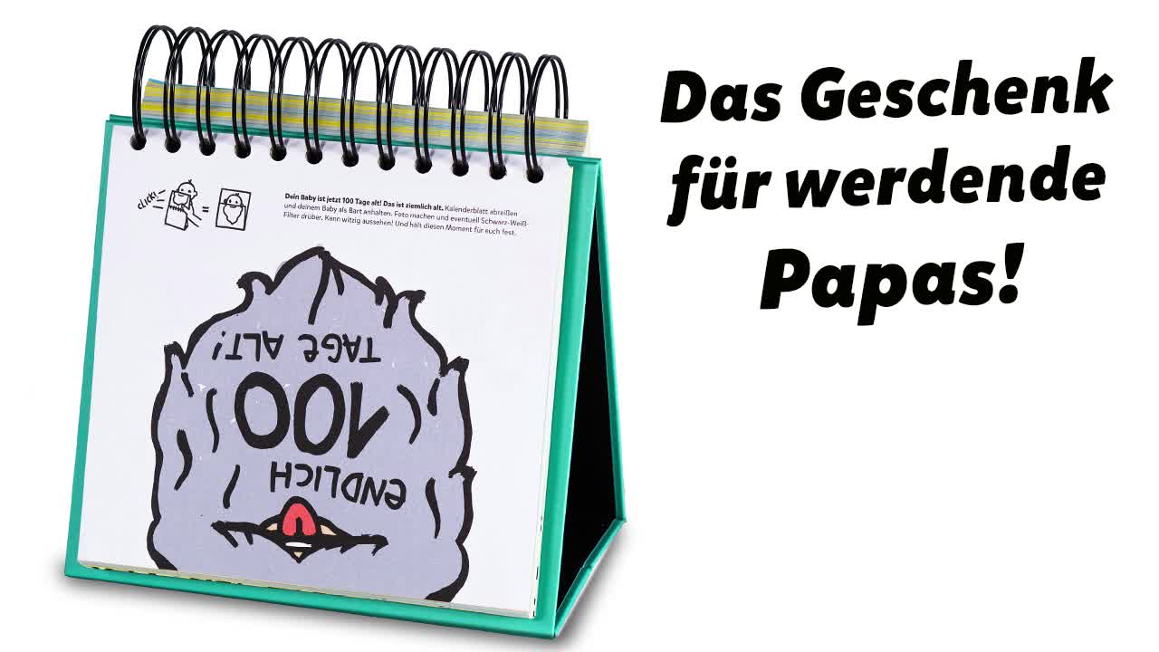 Der Papa-Ratgeber / Ready To Daddy: Ab der Geburt ein Produktbild-Vorschau 7