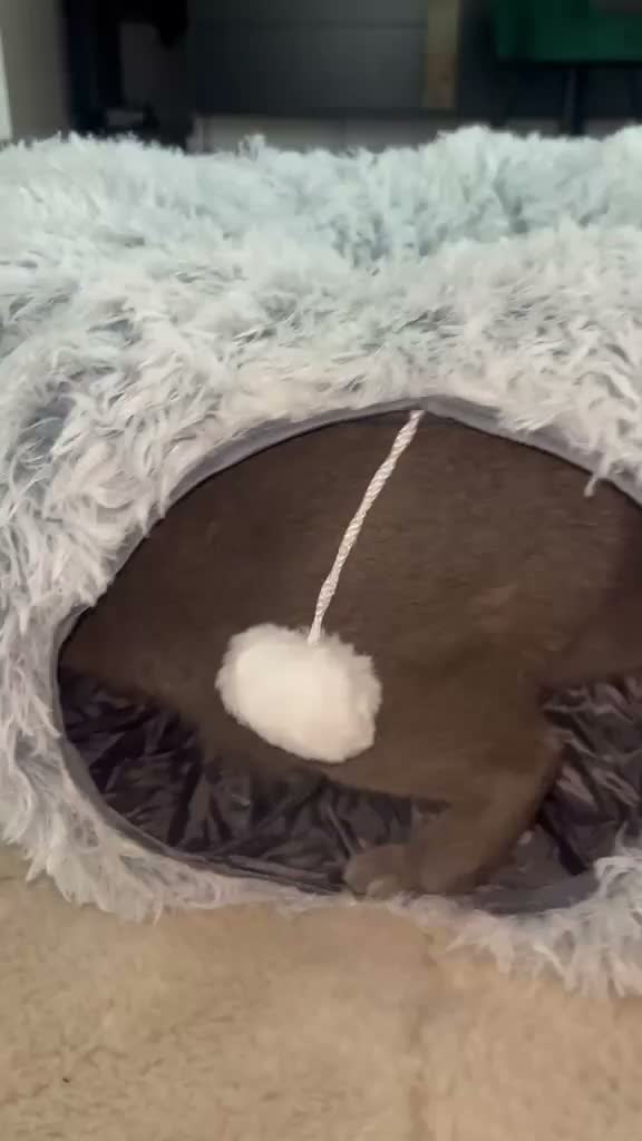 Tierschatz 2-in-1 Katzentunnel mit Katzenbett, grau, 85 x Produktbild-Vorschau 7