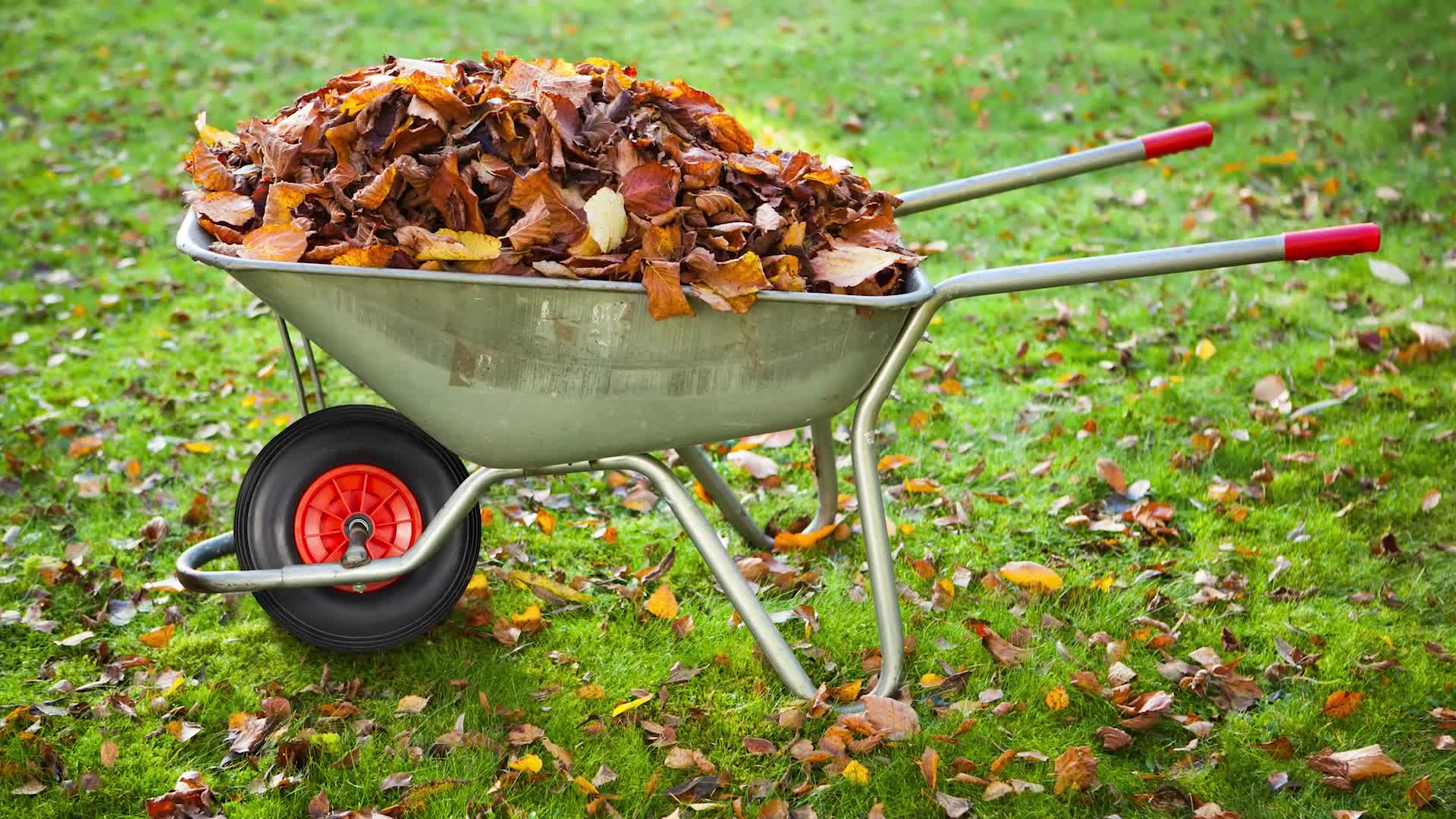 Relaxdays Schubkarrenrad 4.00-6, Vollgummirad mit Produktbild-Vorschau 7